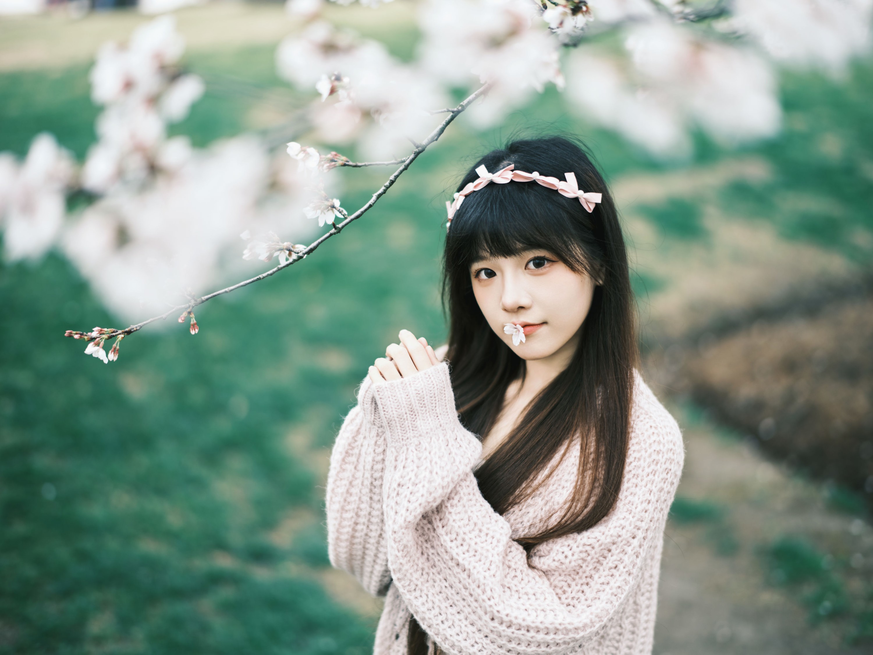 宵宵喵 – 《染井吉野樱》[78P]