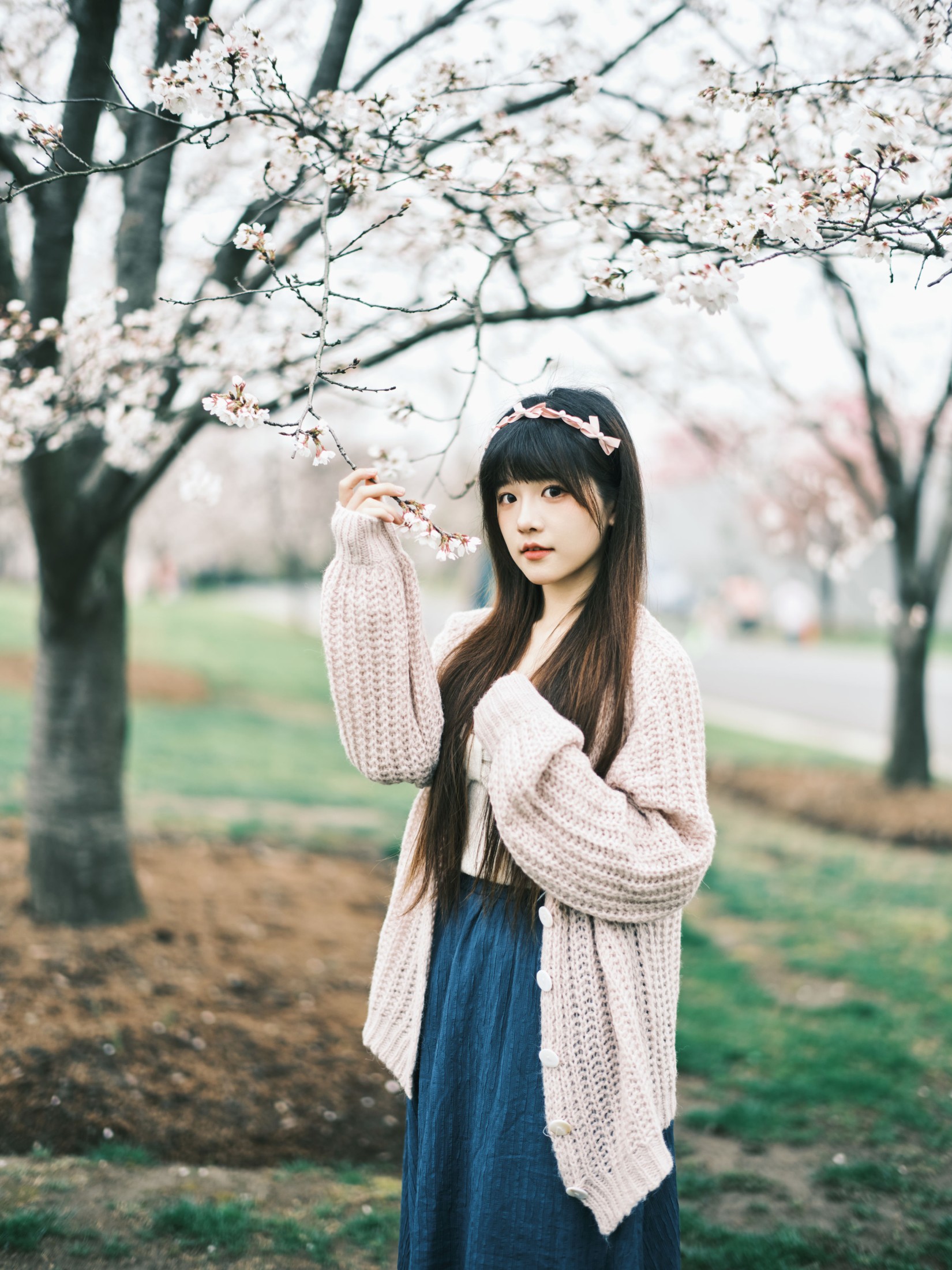 宵宵喵 – 《染井吉野樱》[78P]