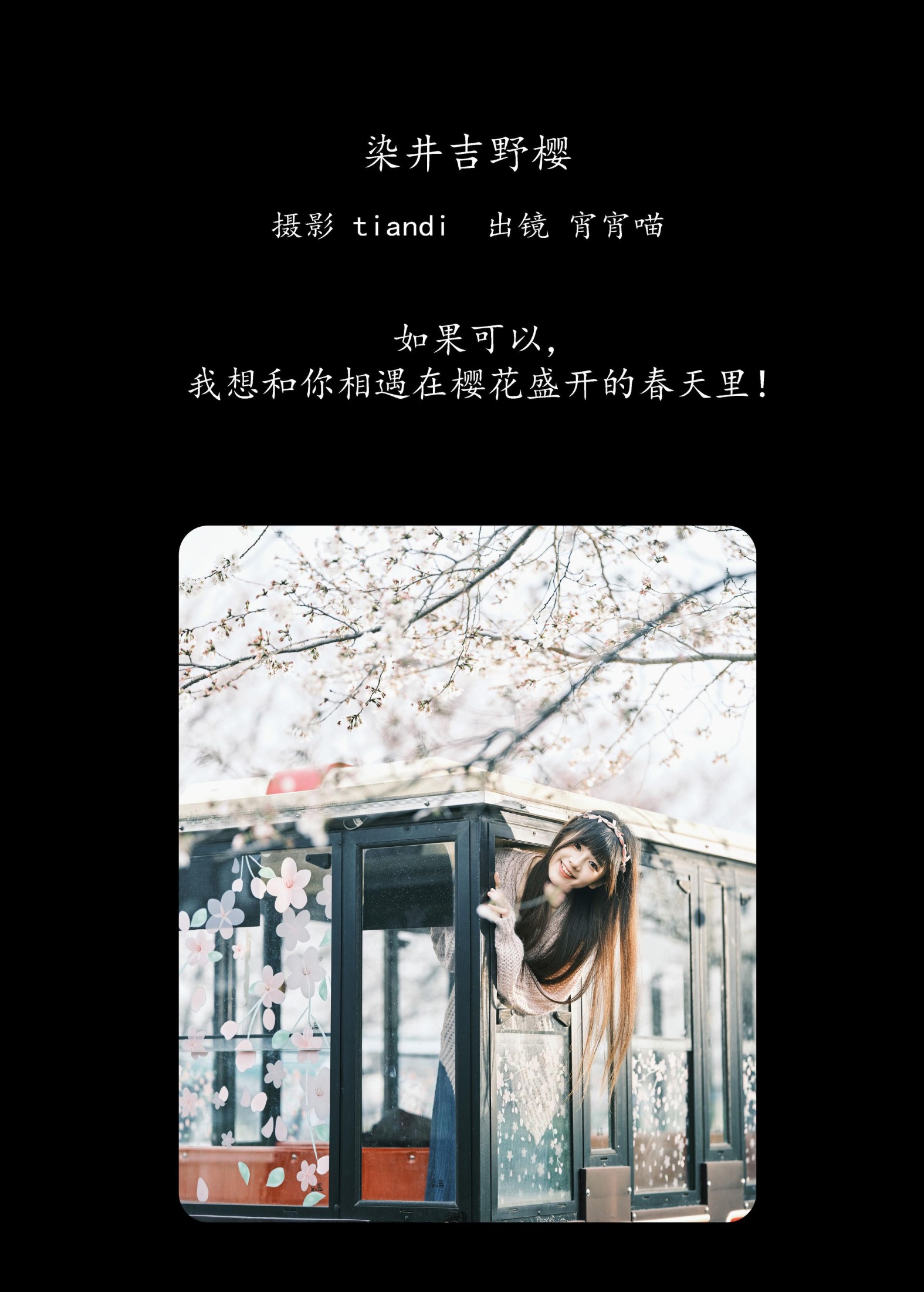 宵宵喵 – 《染井吉野樱》[78P]