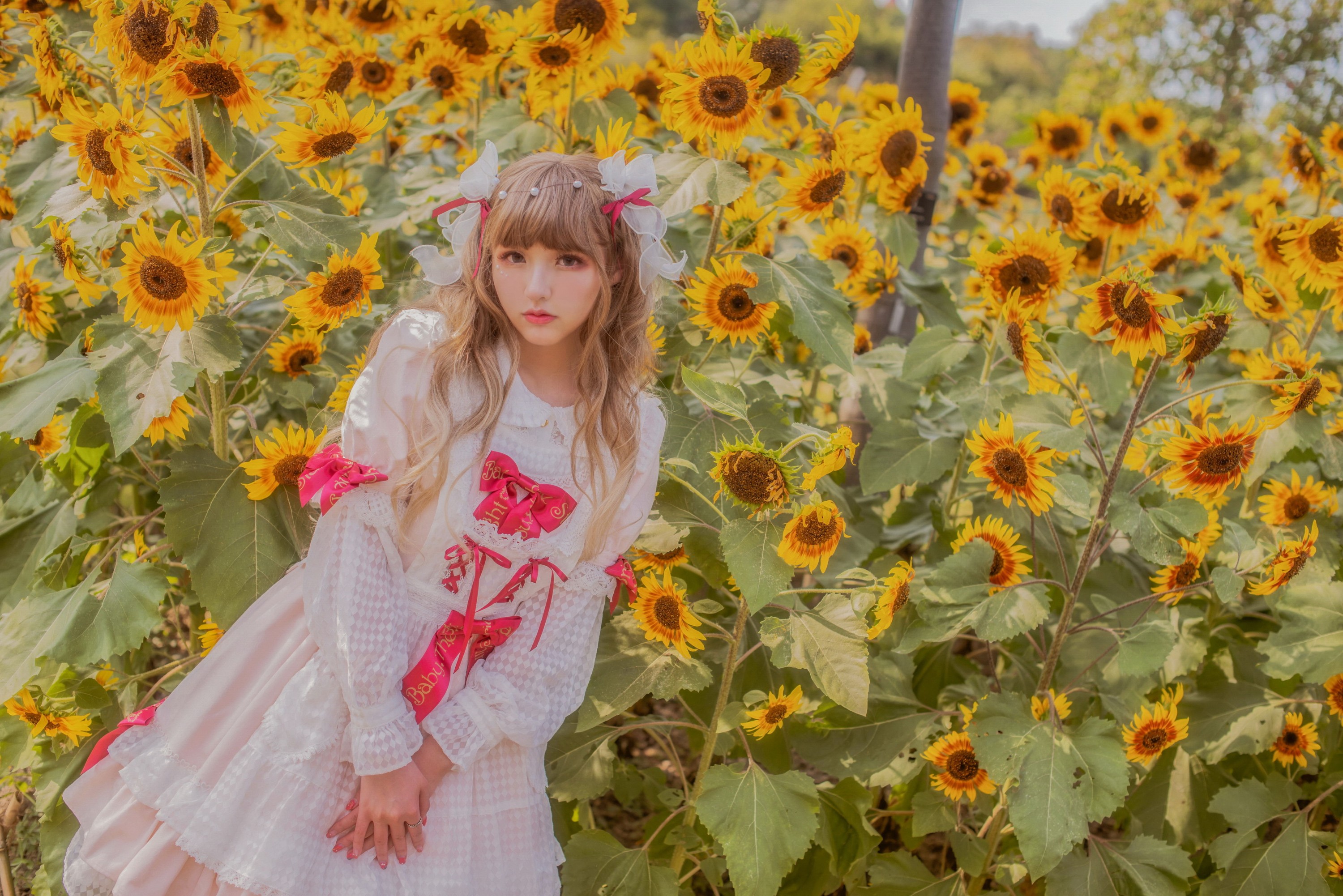 FuyuMi冬目 – 《向日葵洛丽塔》[24P]