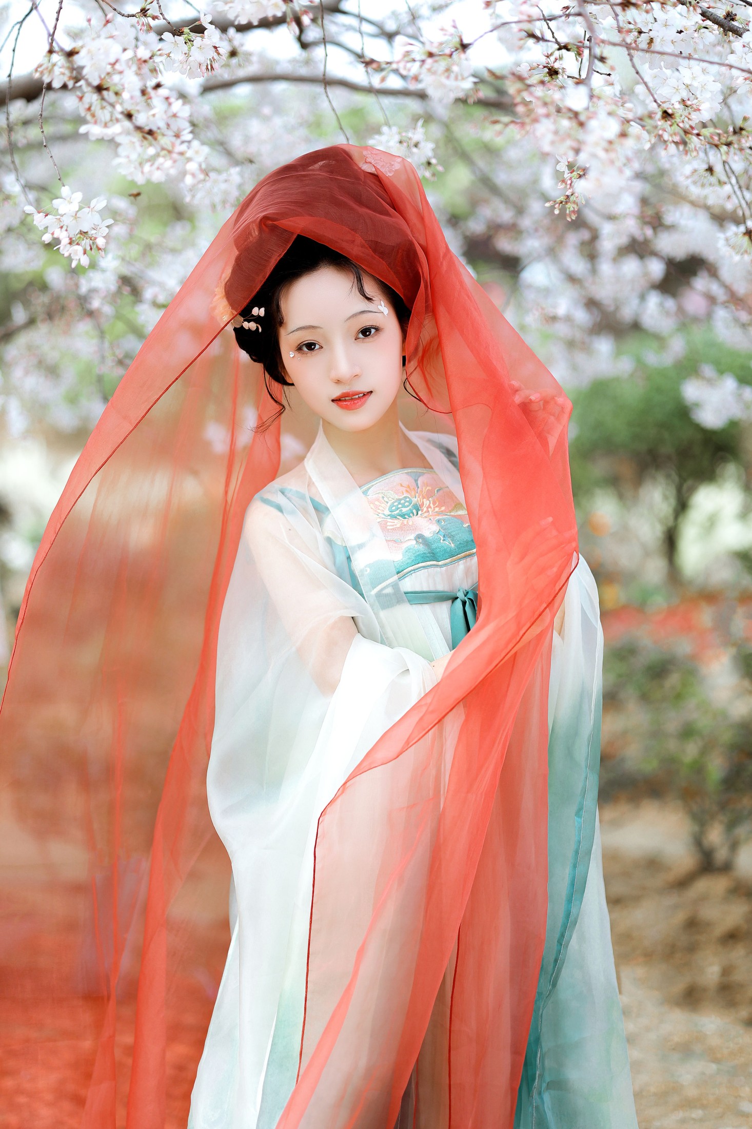 君尹兰 – 《春日宴》[25P] 插图4