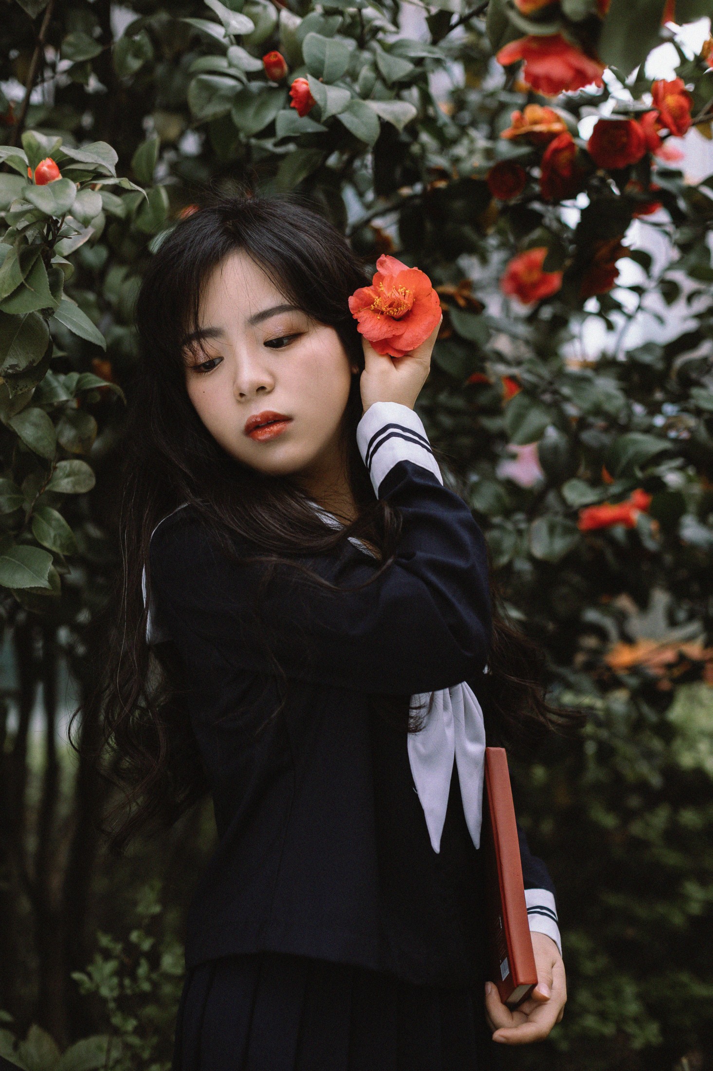 是小白噢 – 《茶花树下的少女》[26P]