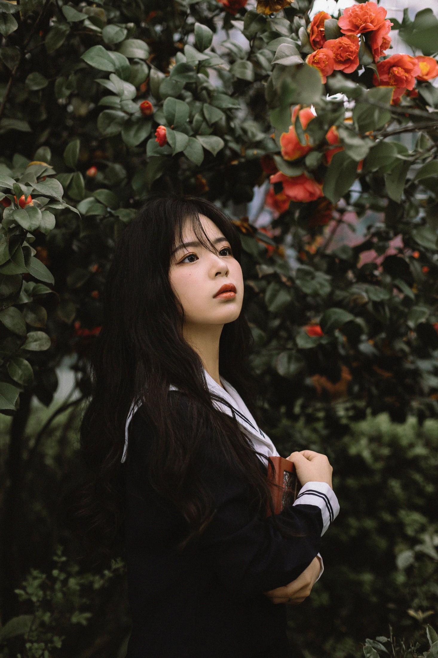 是小白噢 – 《茶花树下的少女》[26P]