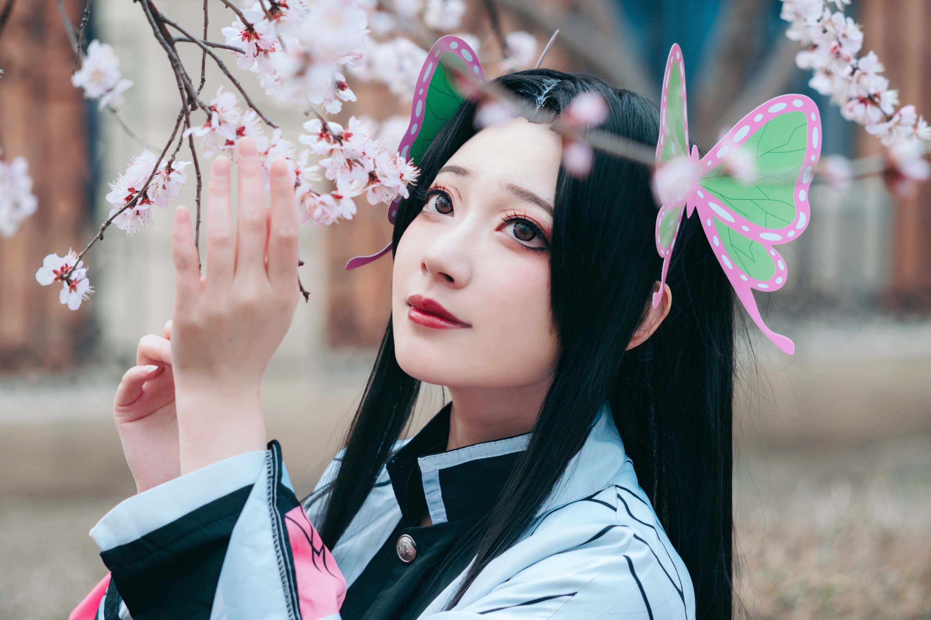 桃墨公子x – 《蝴蝶香奈惠》[22P]