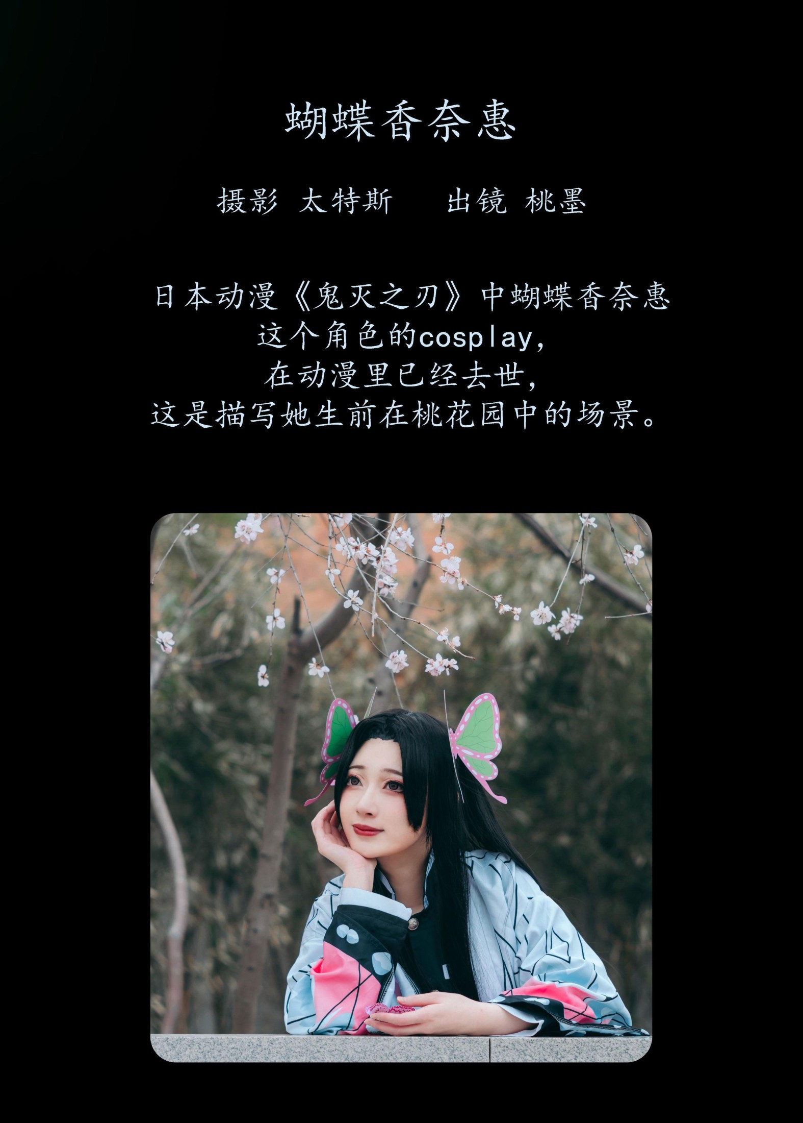 桃墨公子x – 《蝴蝶香奈惠》[22P]