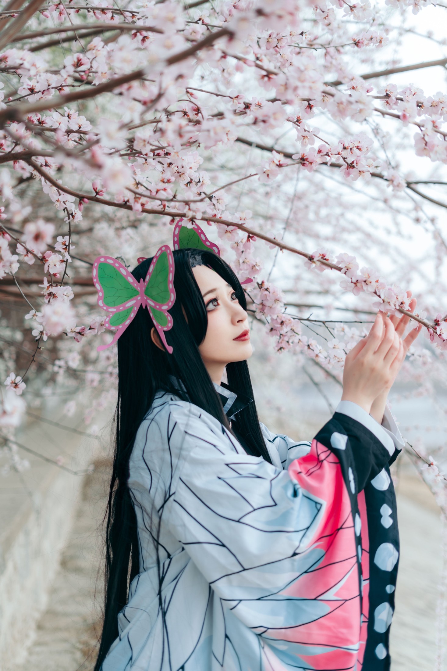 桃墨公子x – 《蝴蝶香奈惠》[22P]