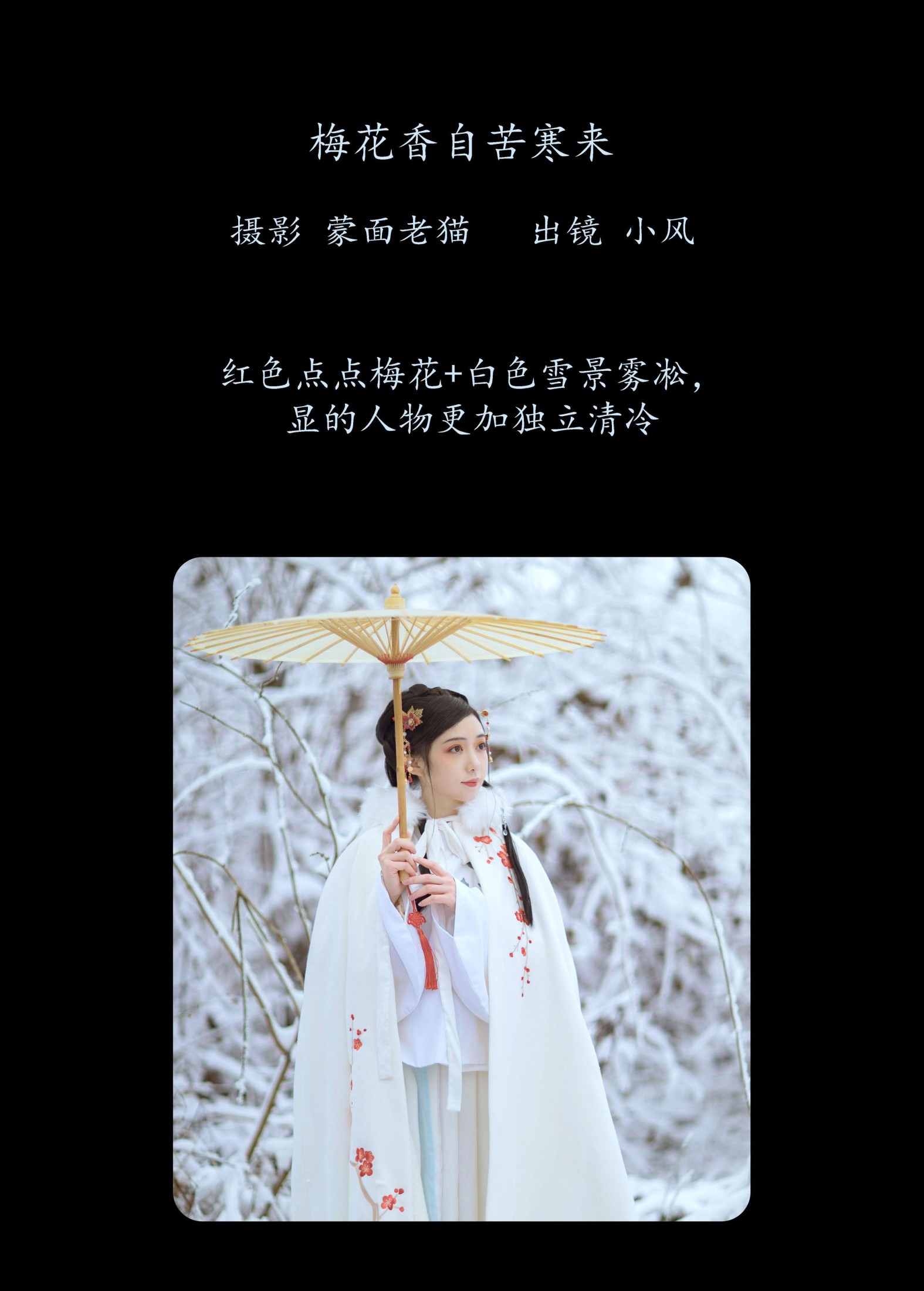 小风加载中 – 《梅花香自苦寒来》[25P]