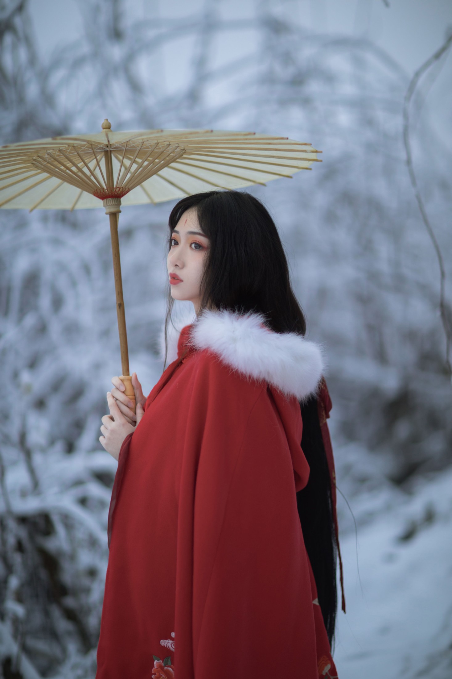 小风加载中 – 《人间惊鸿客》[21P]