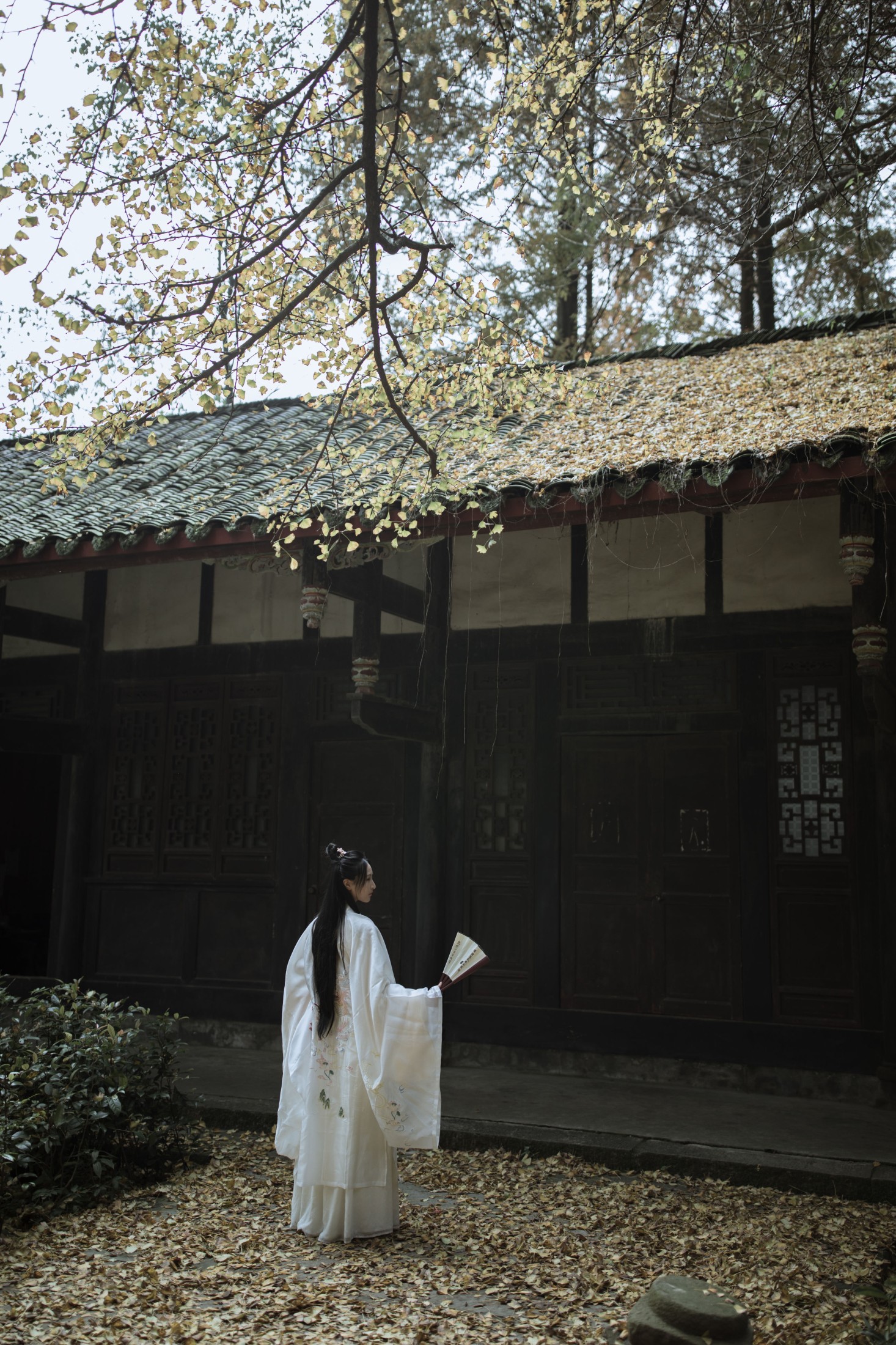 紫微 – 《山河故人归》[22P]