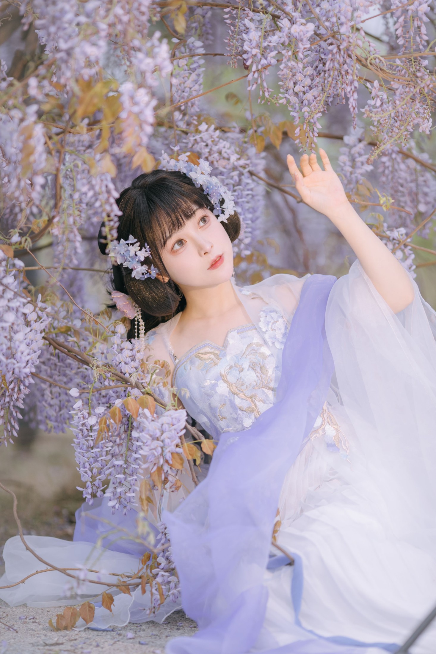 麻辣孔雀 – 《紫藤小花仙》[20P]