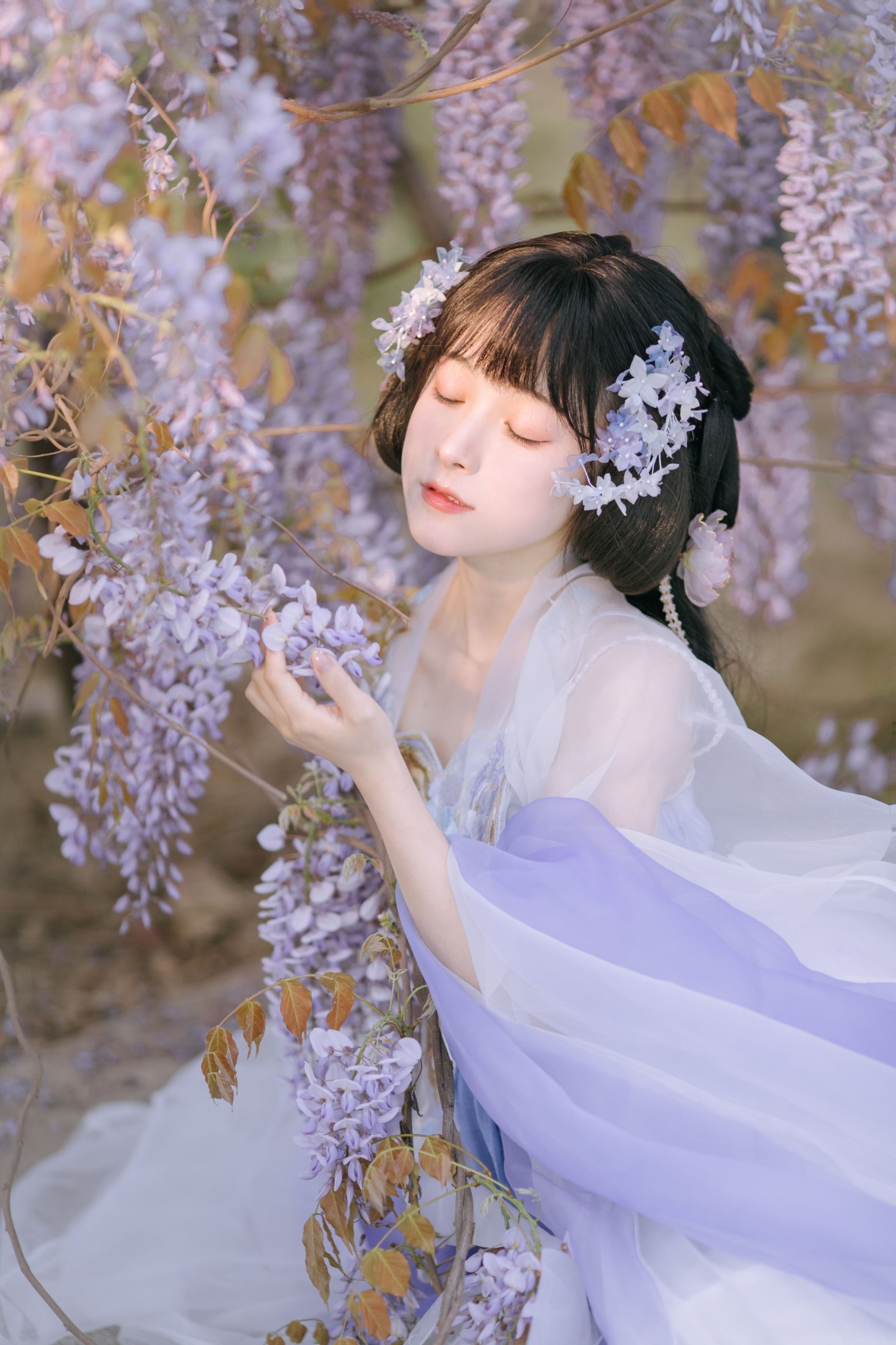 麻辣孔雀 – 《紫藤小花仙》[20P]