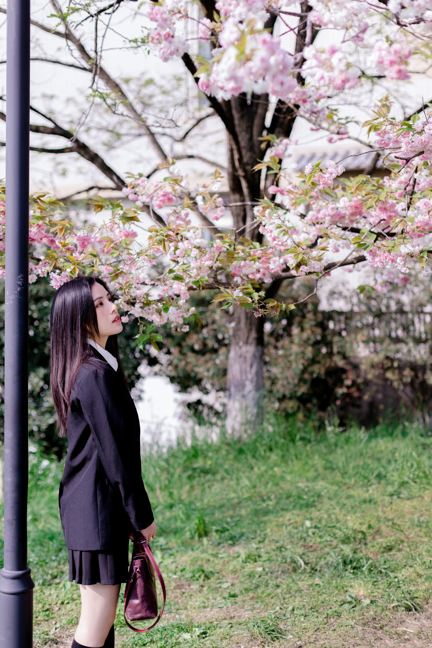 安妮 – 《青春 》[27P]