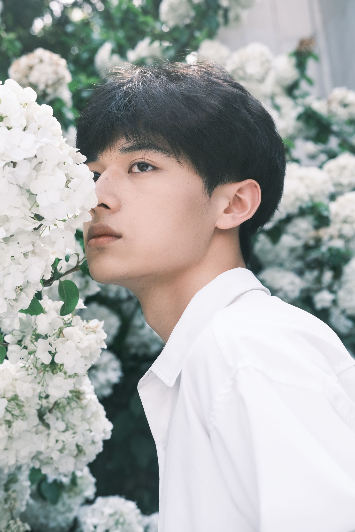 火龙龙龙龙王 – 《遗憾》[27P]