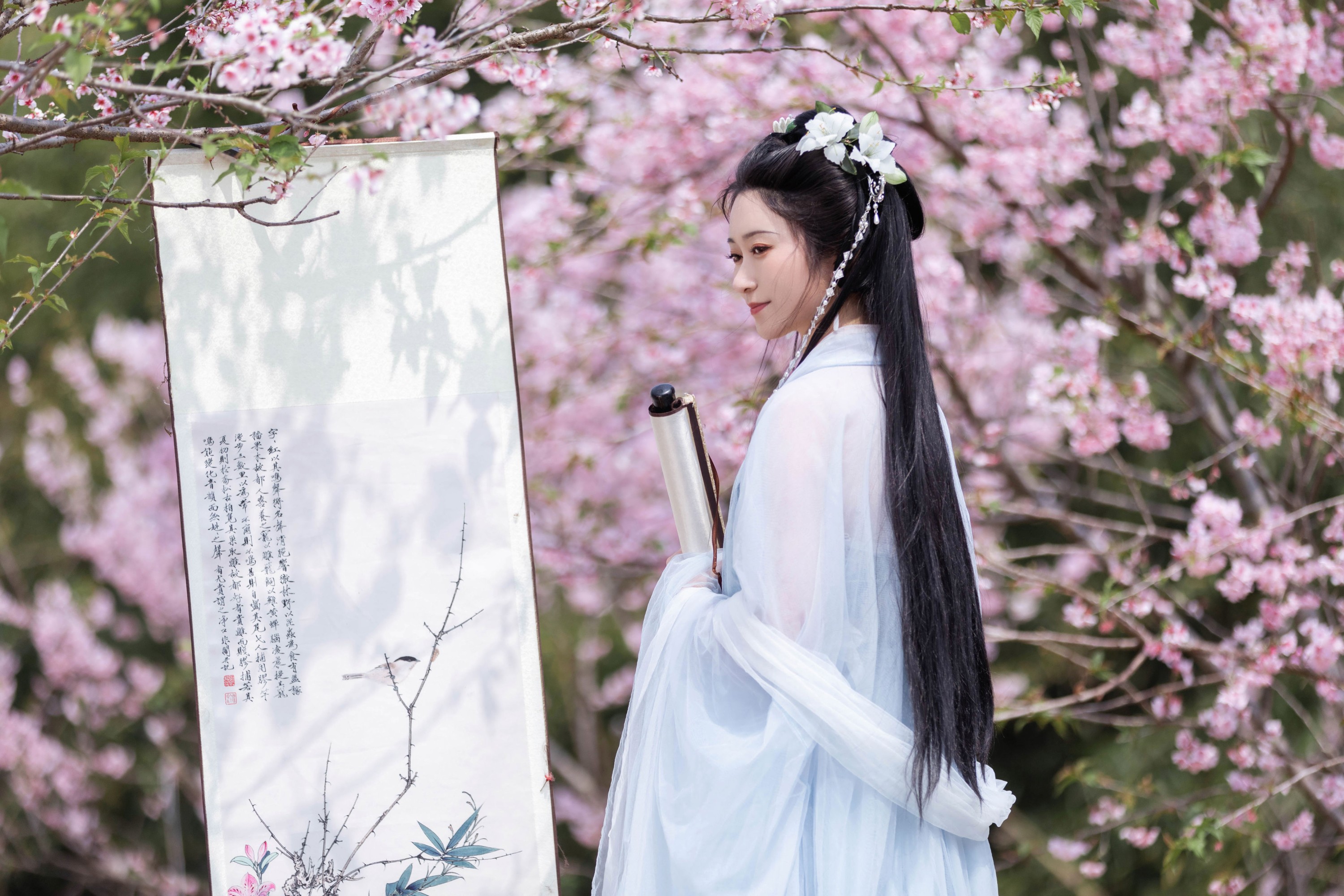 云草 – 《春归》[22P]