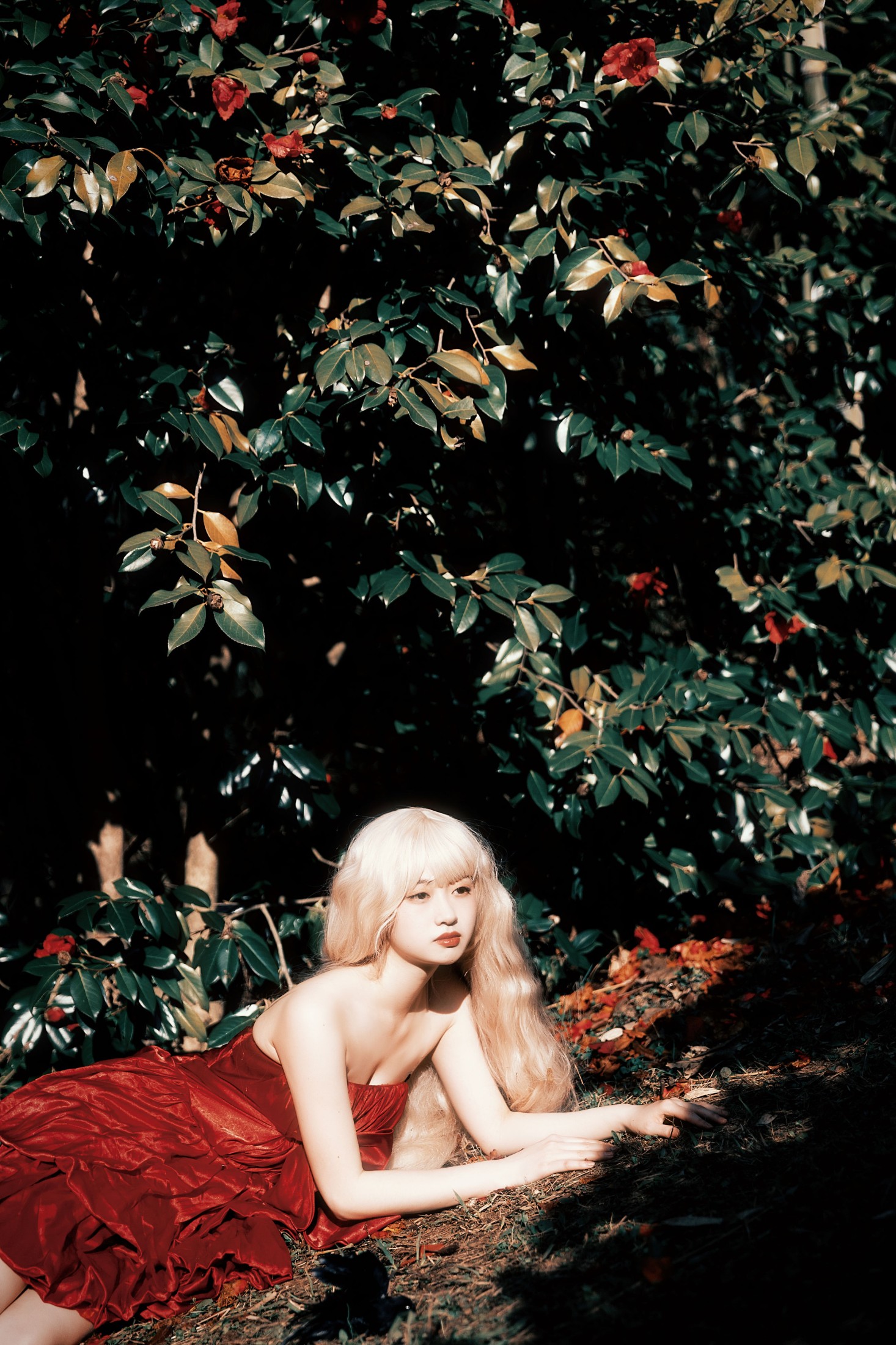 natasha – 《荼蘼花事了》[24P]