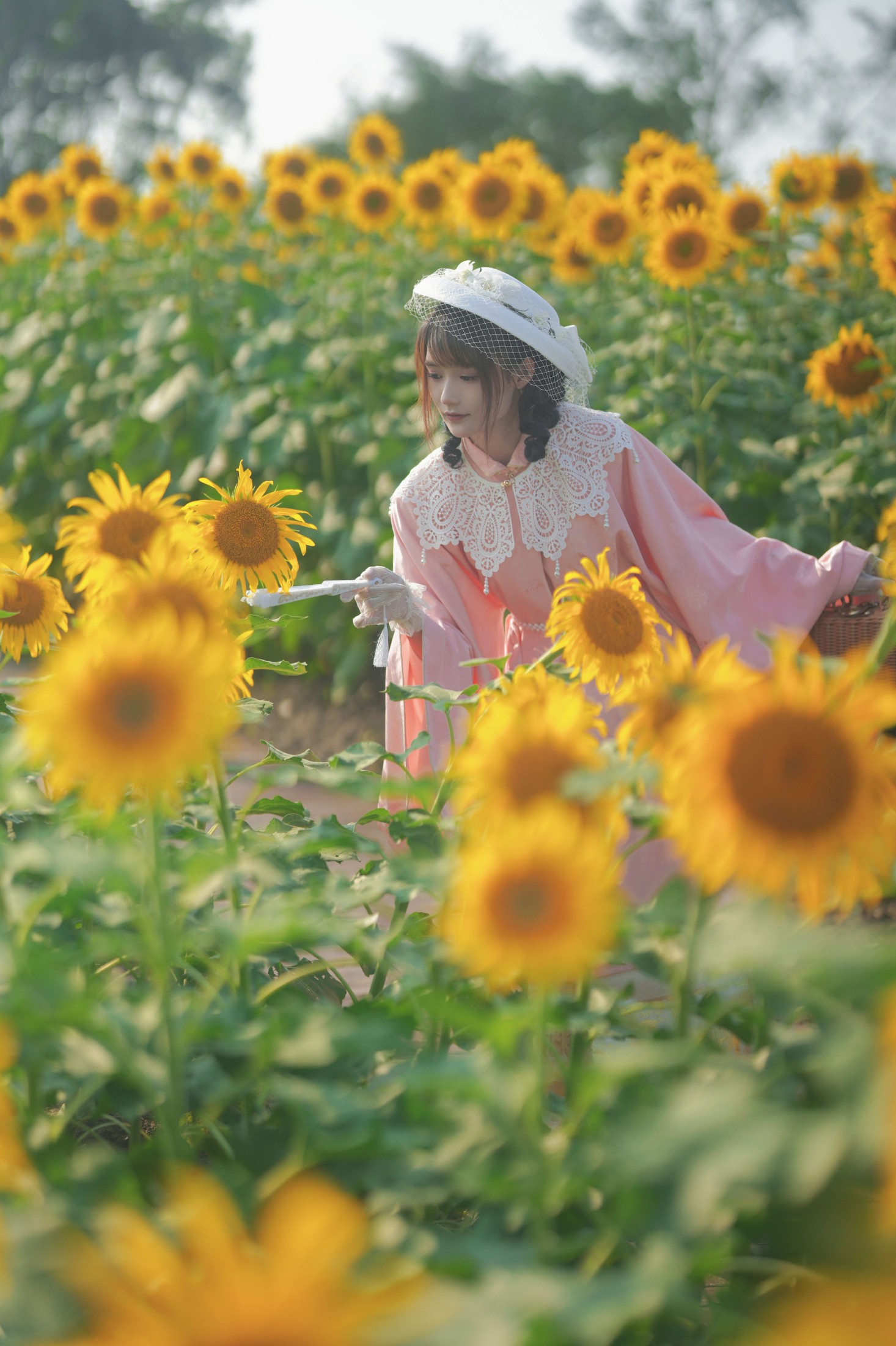 兔子Zzz不吃胡萝卜 – 《向日葵的回忆》[23P]