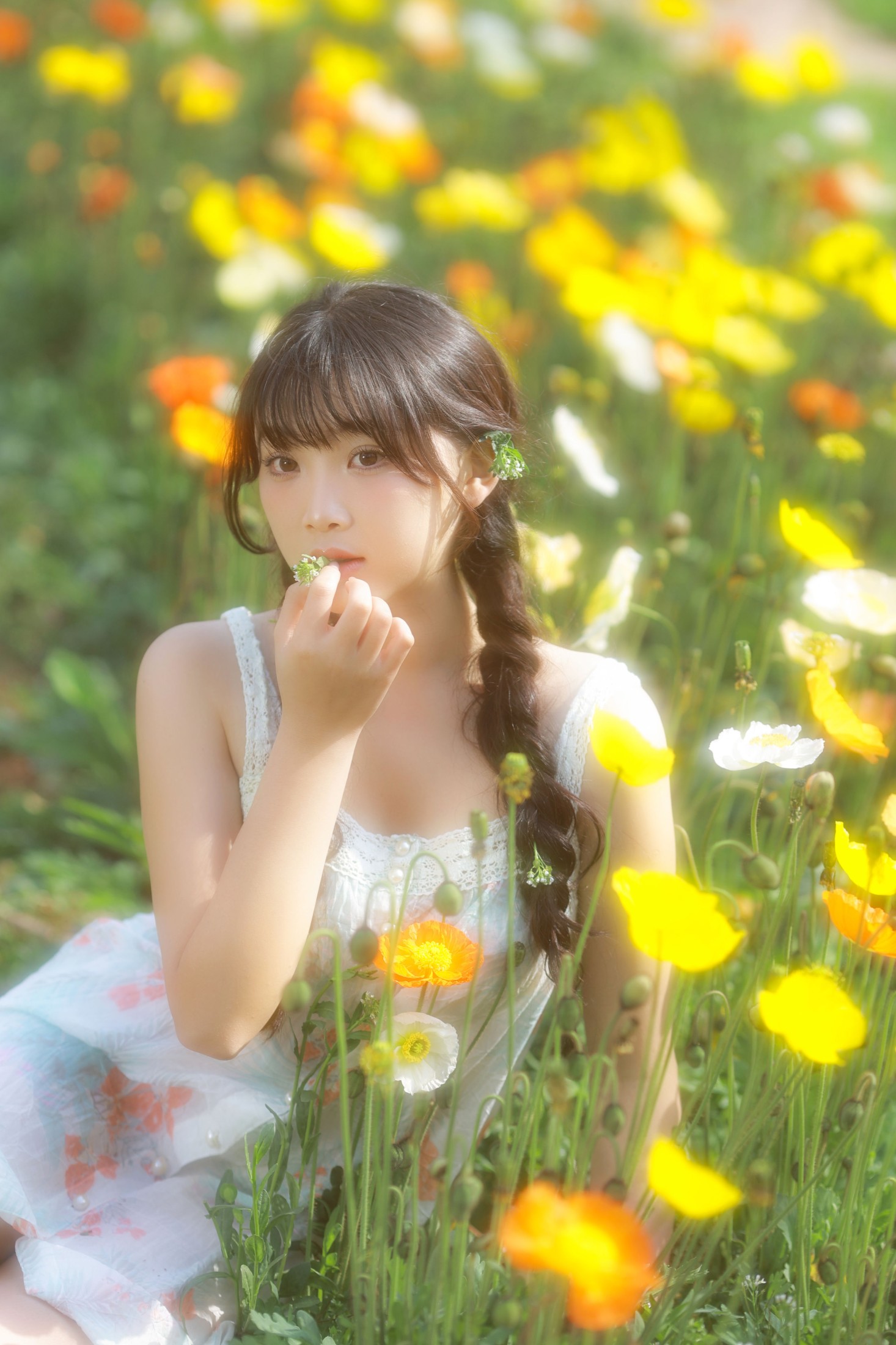 耀心在长个 – 《虞美人开满的山坡》[22P]