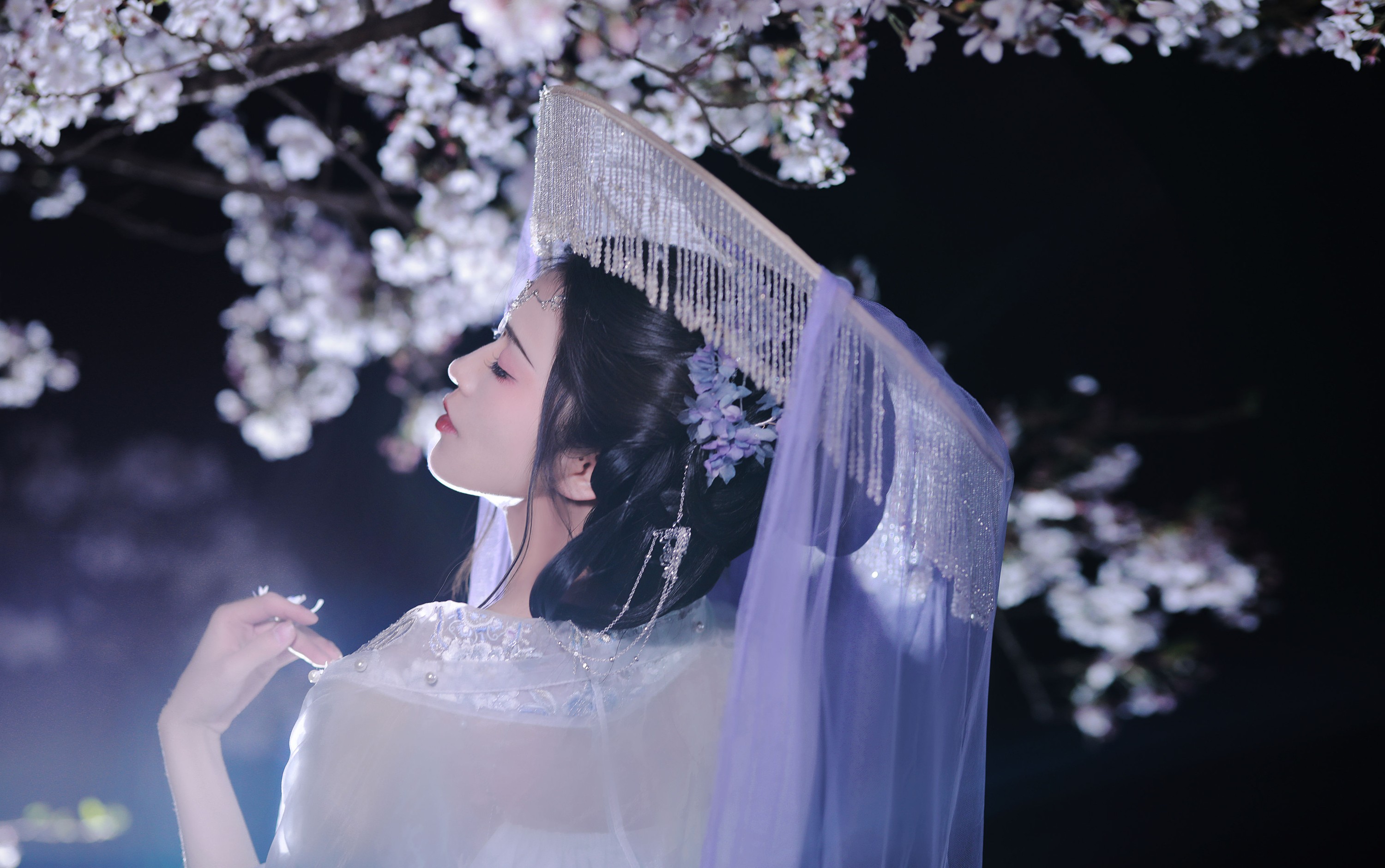 吾岁岁 – 《林下漏月光，疏疏如残雪》[28P]