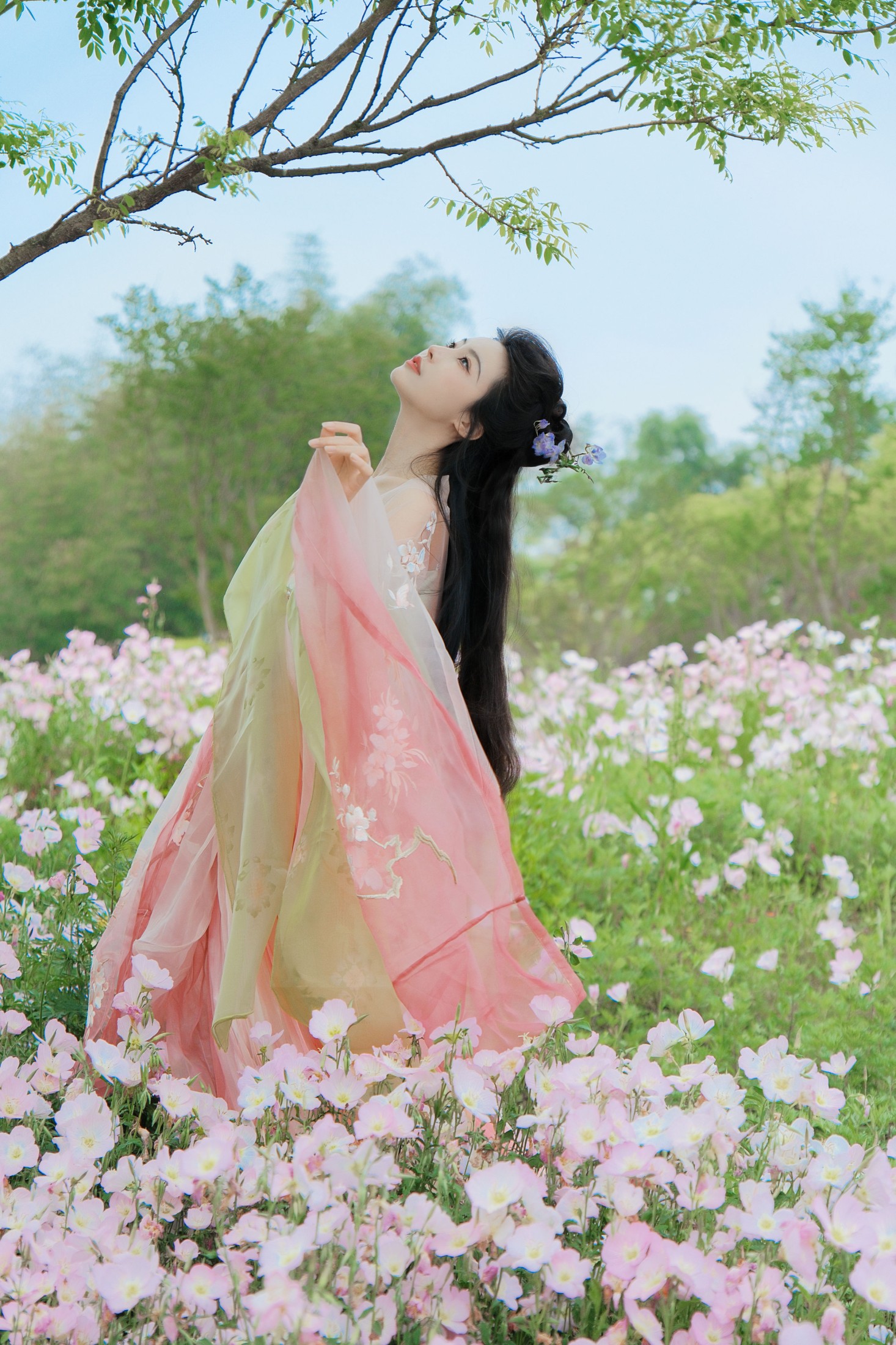 兰因 – 《月见花神》[20P]