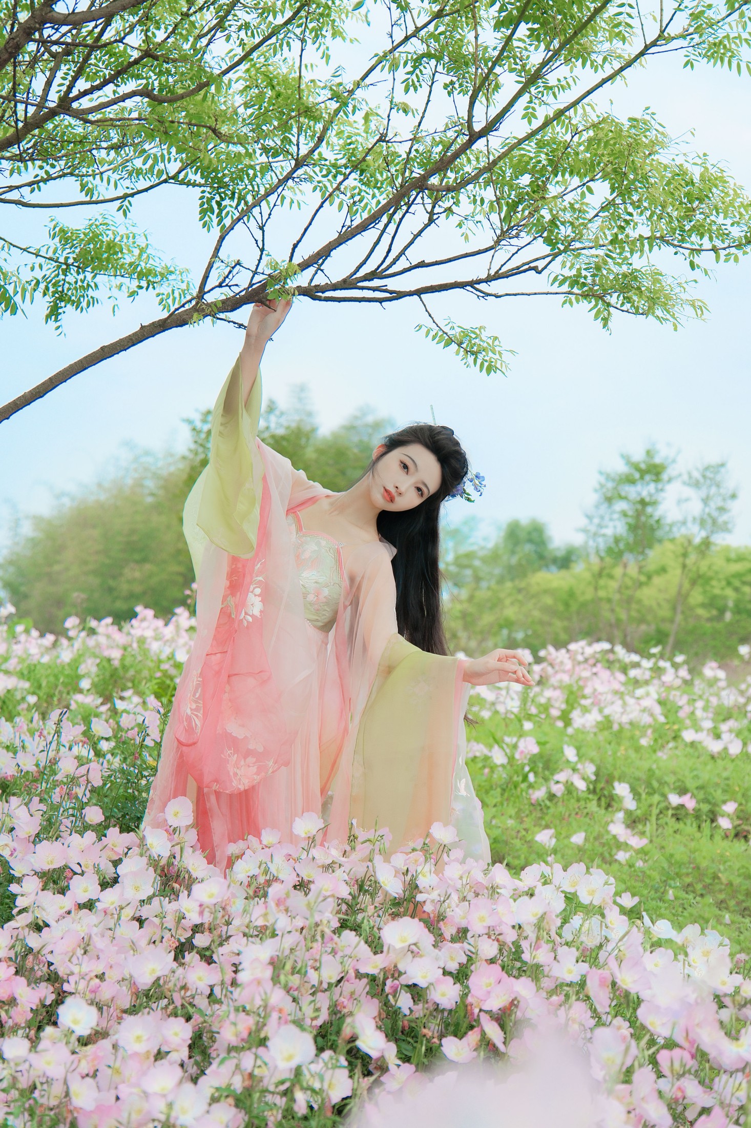 兰因 – 《月见花神》[20P]