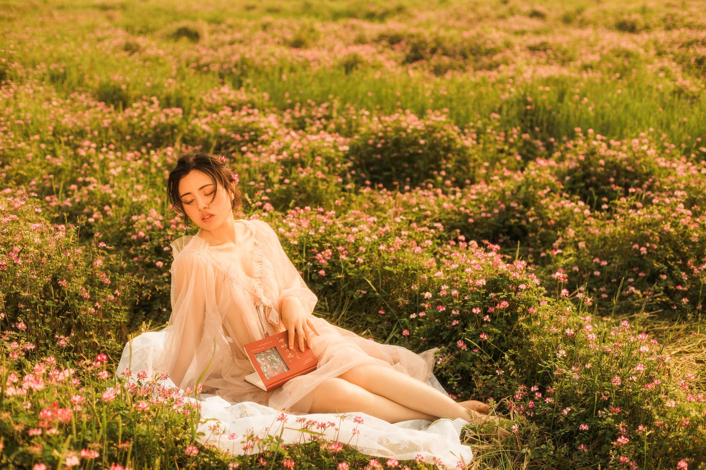 安妮 – 《紫云英的浪漫》[27P]