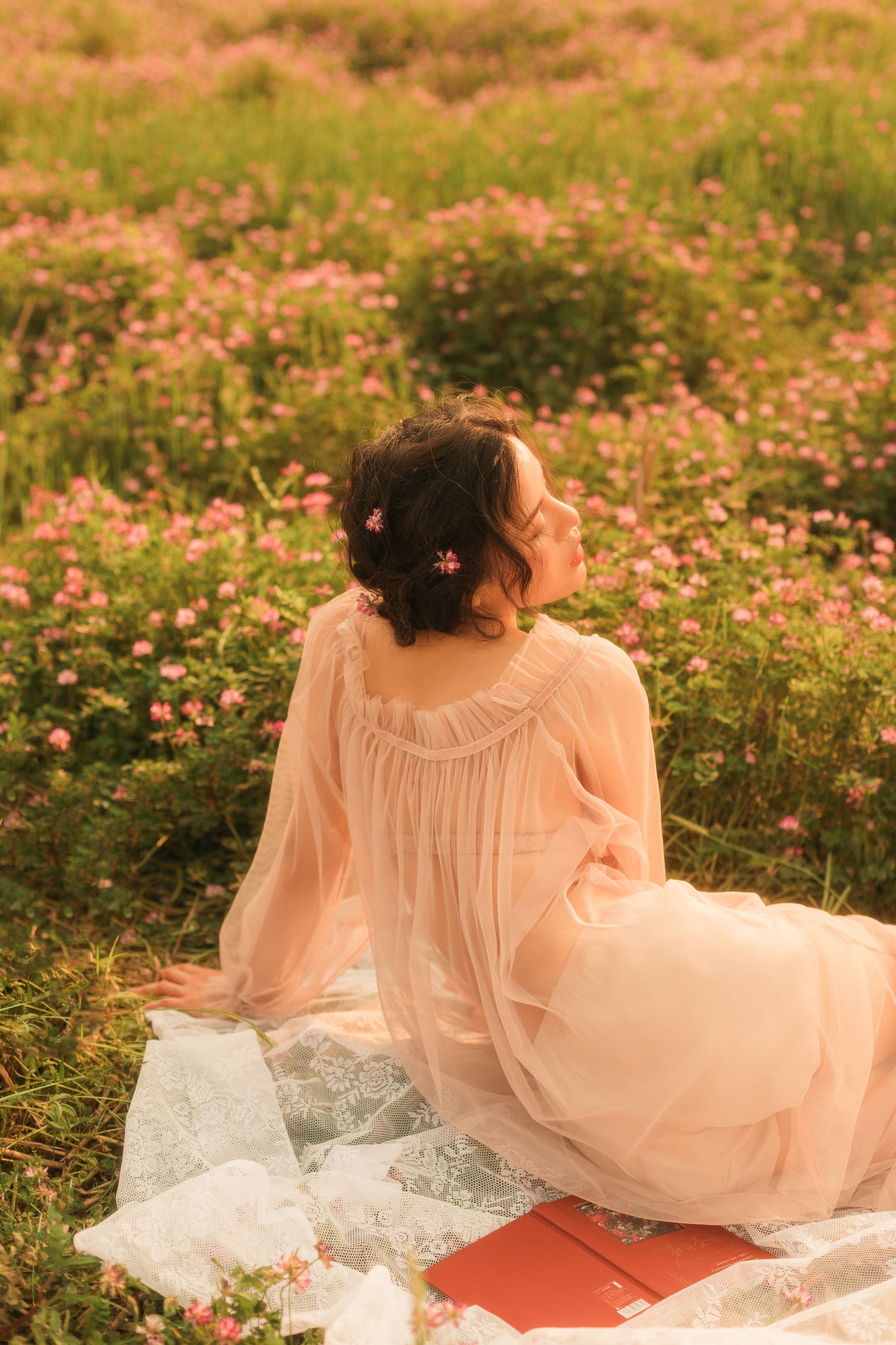 安妮 – 《紫云英的浪漫》[27P]