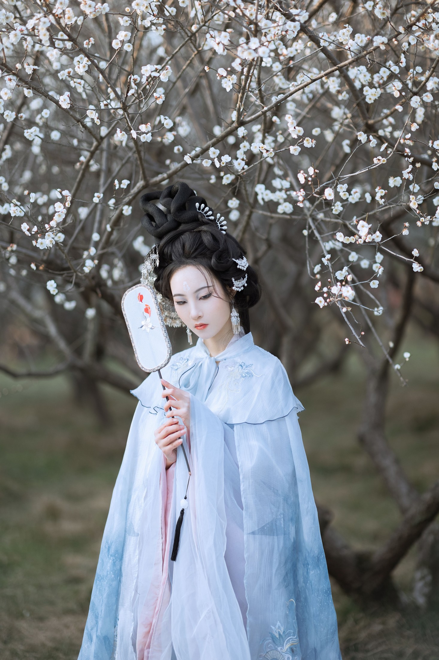 沈云缭 – 《傲雪梅》[50P]