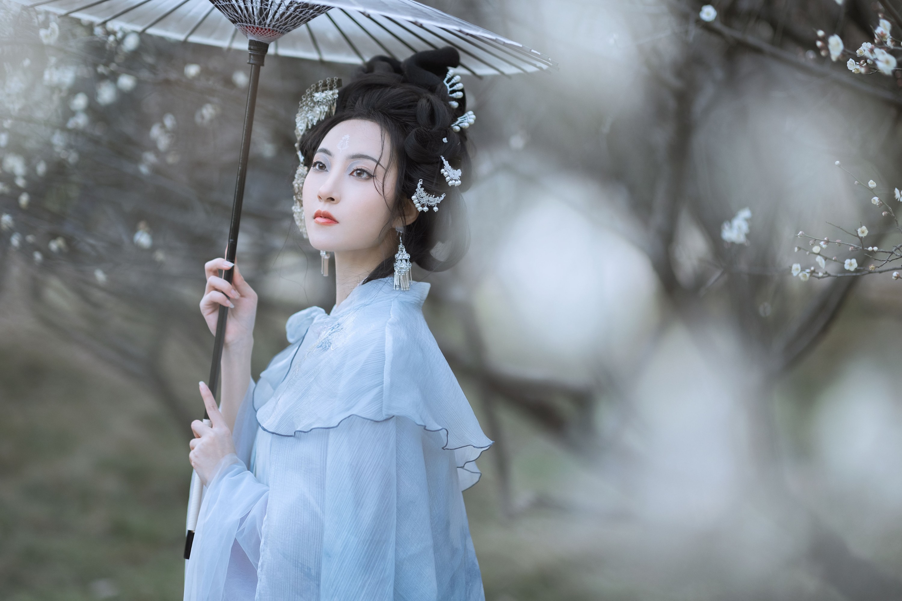 沈云缭 – 《傲雪梅》[50P]