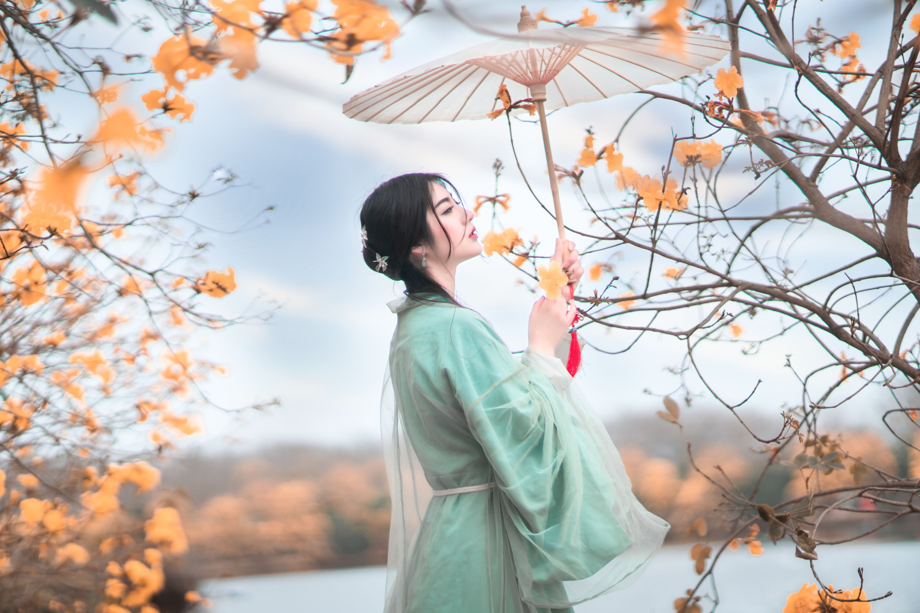 琴子 – 《春知处》[32P]