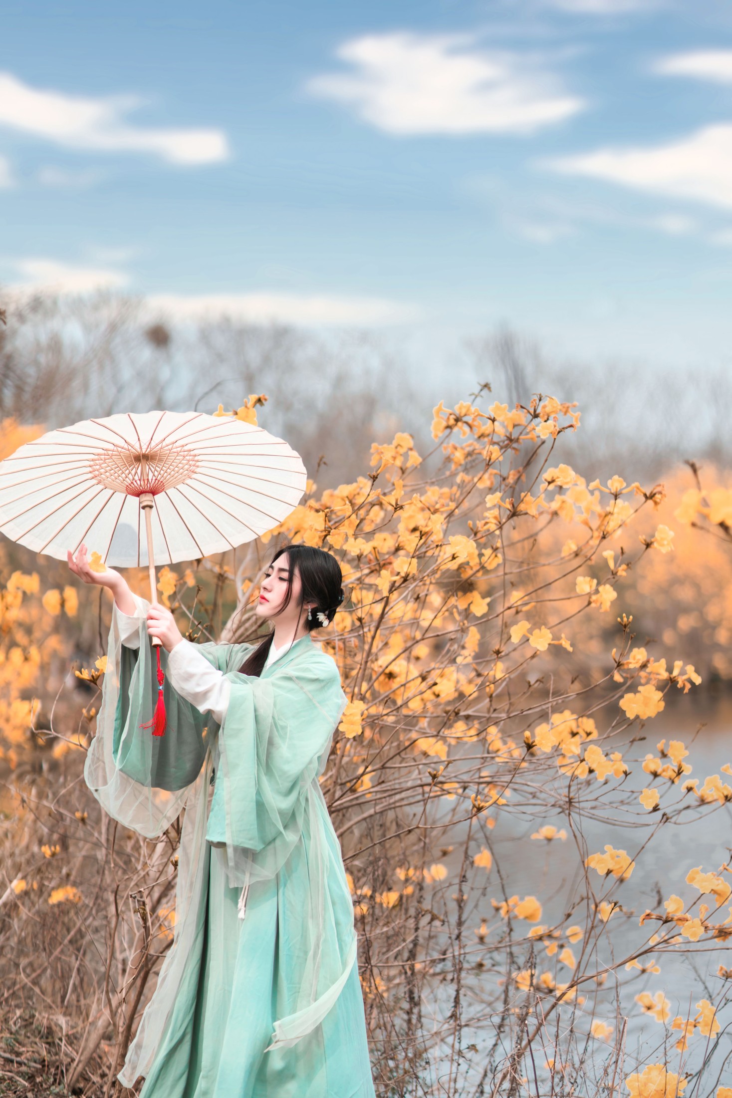 琴子 – 《春知处》[32P]