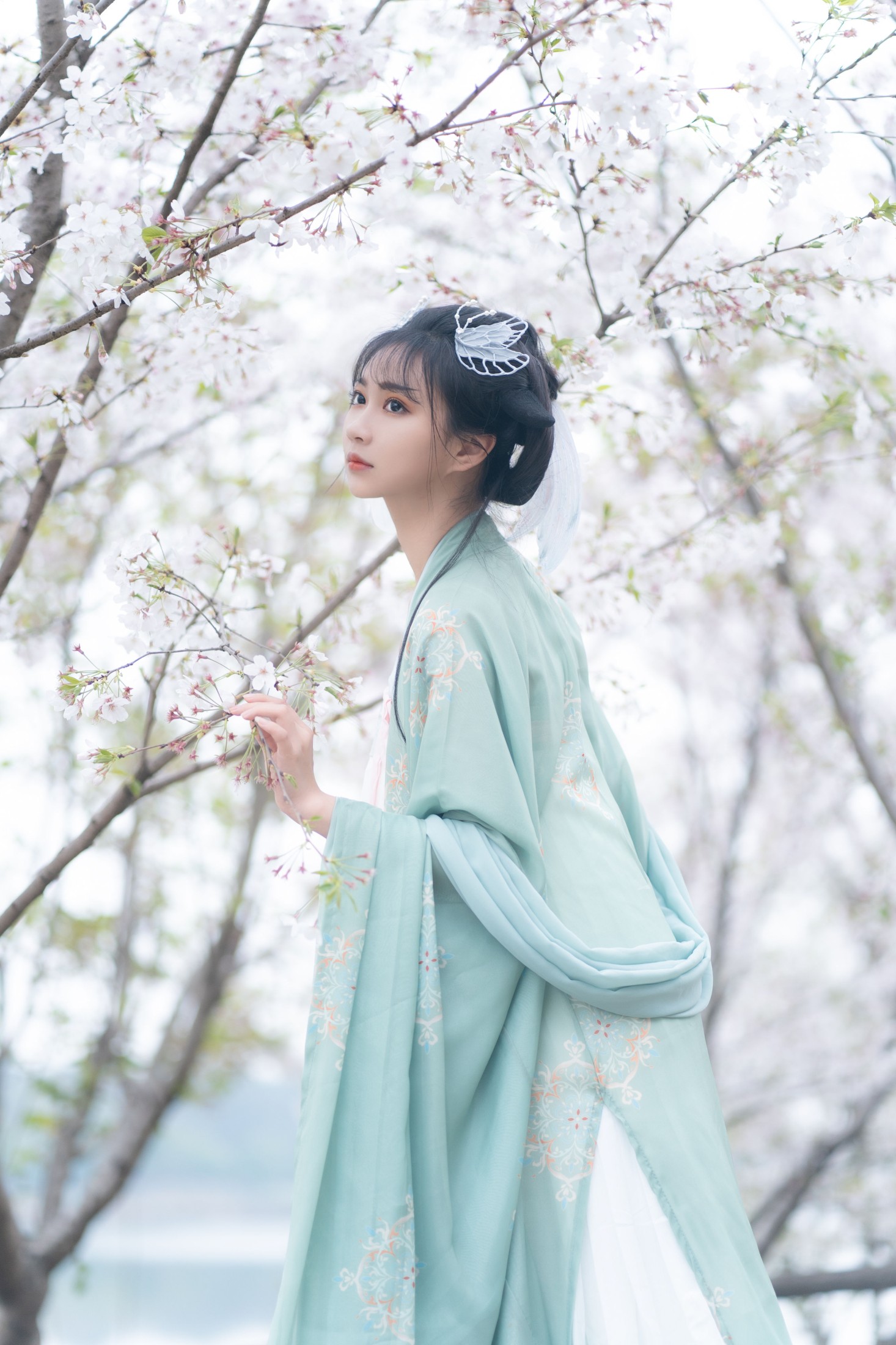 绮罗生的小苏苏 – 《云孤月》[22P]