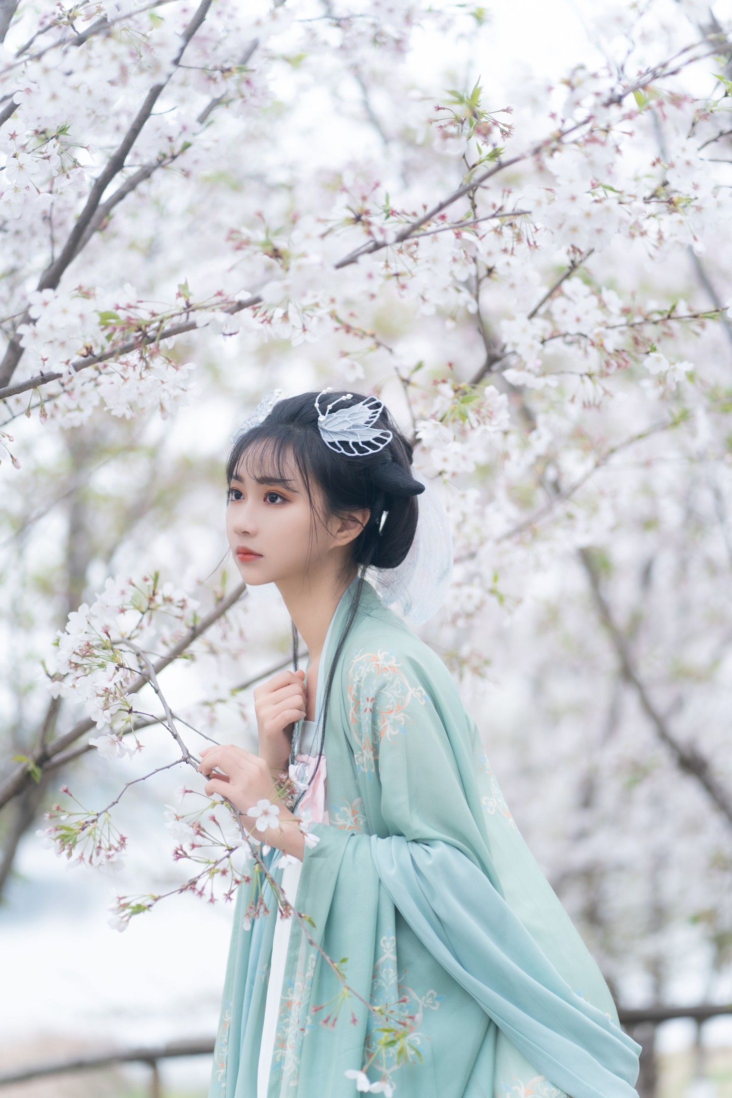 绮罗生的小苏苏 – 《云孤月》[22P]