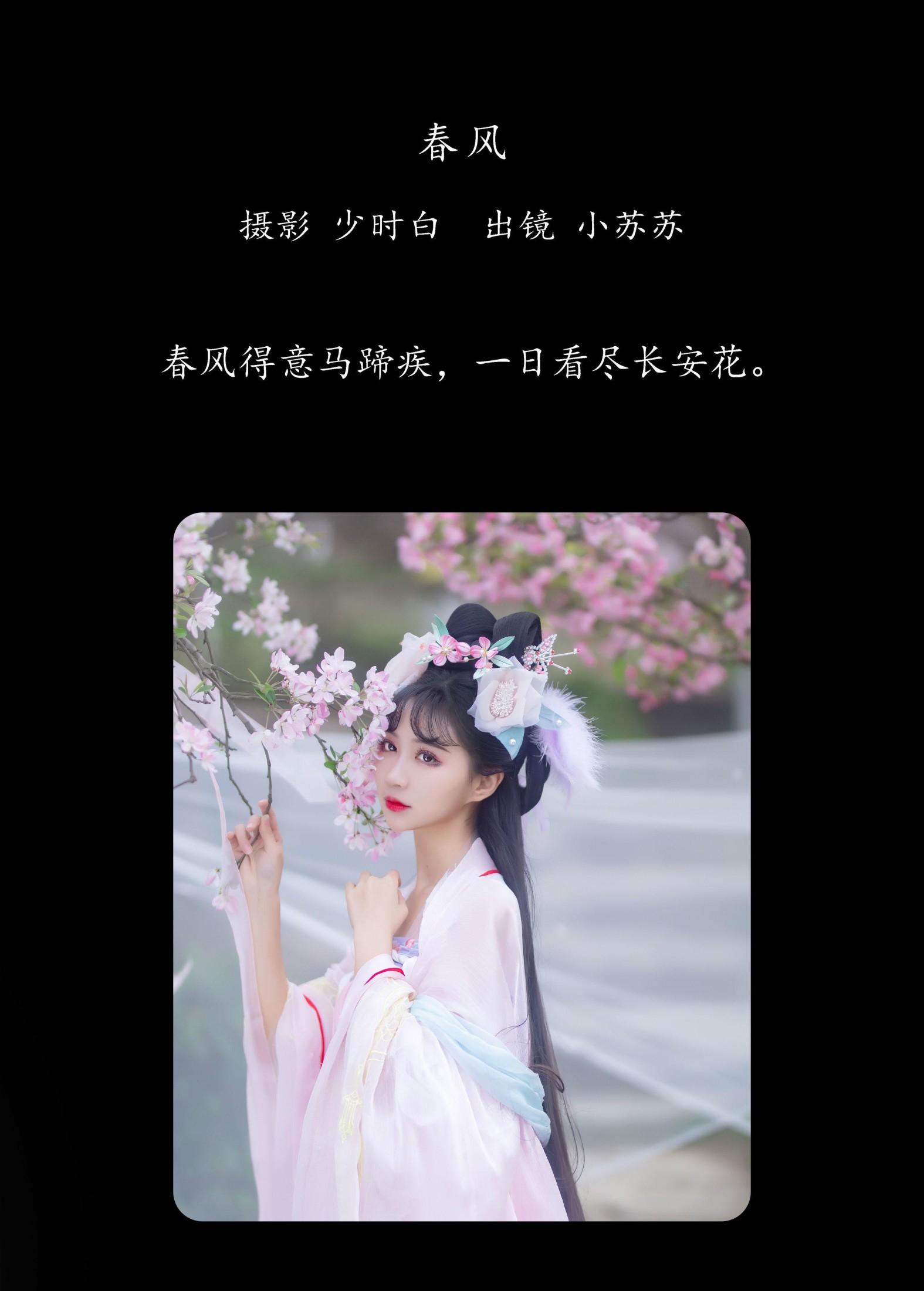 绮罗生的小苏苏 – 《春风》[28P]