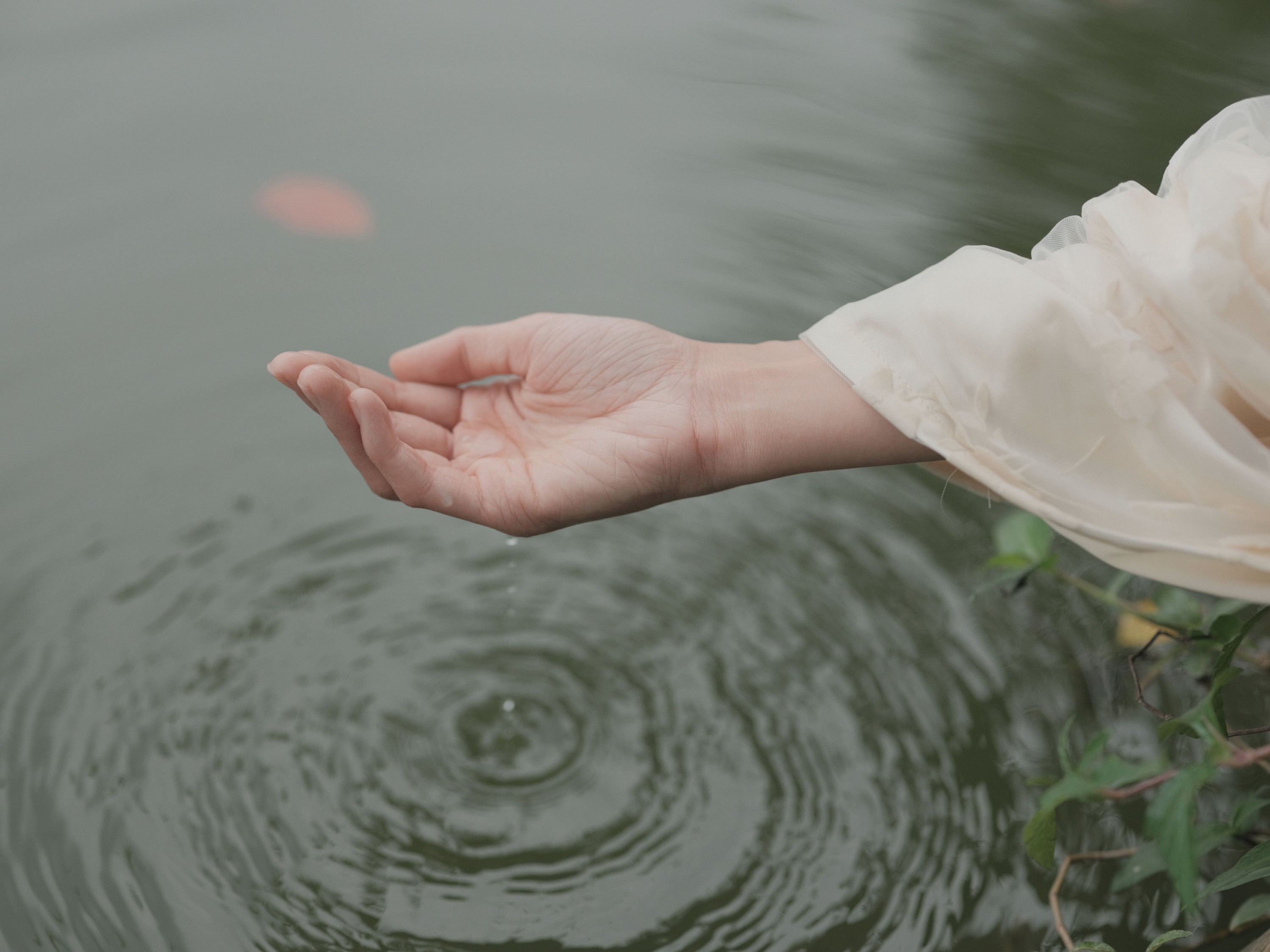 小鹿 – 《清风》[46P]