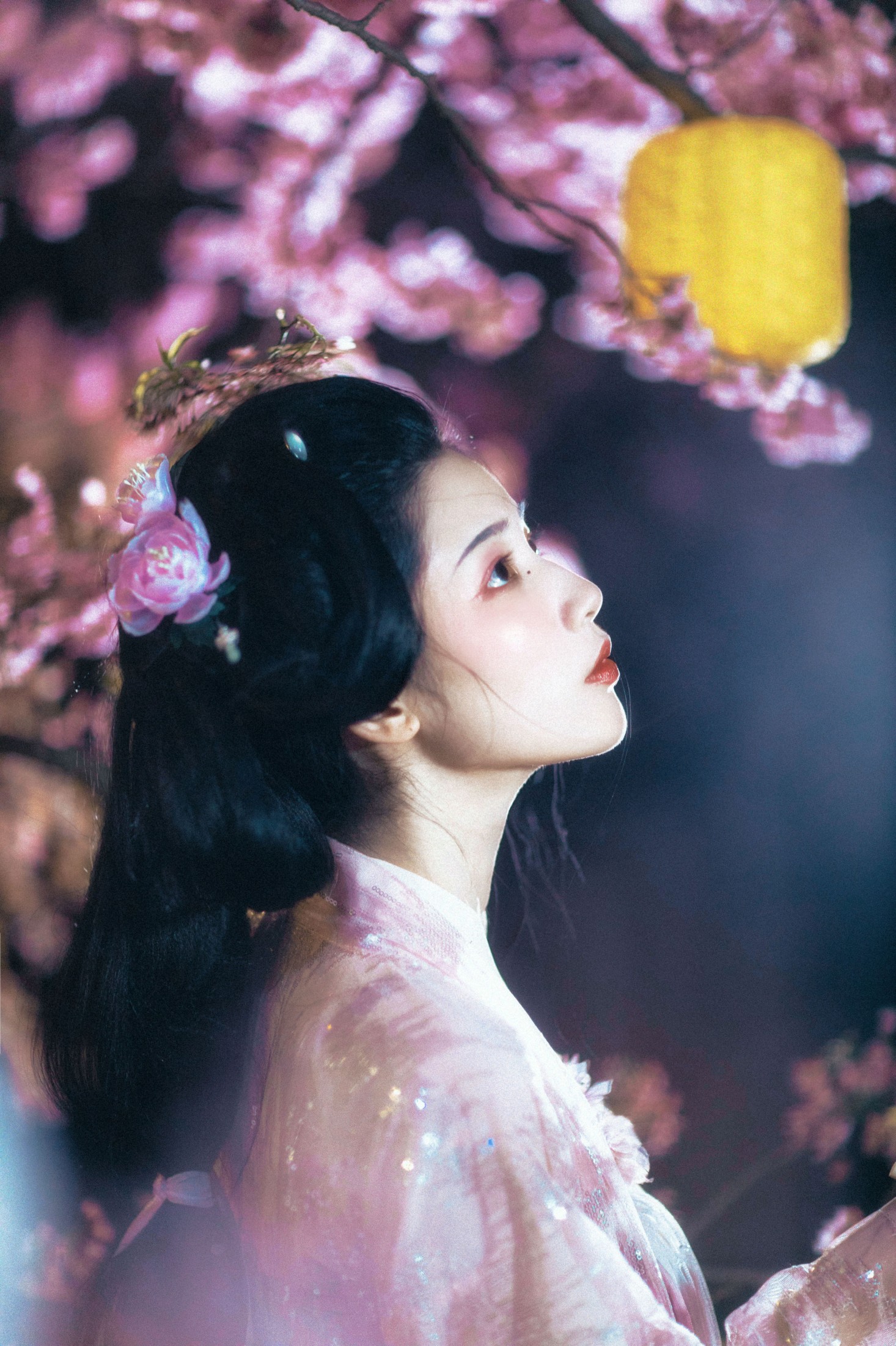 见南山 – 《花月夜》[24P]