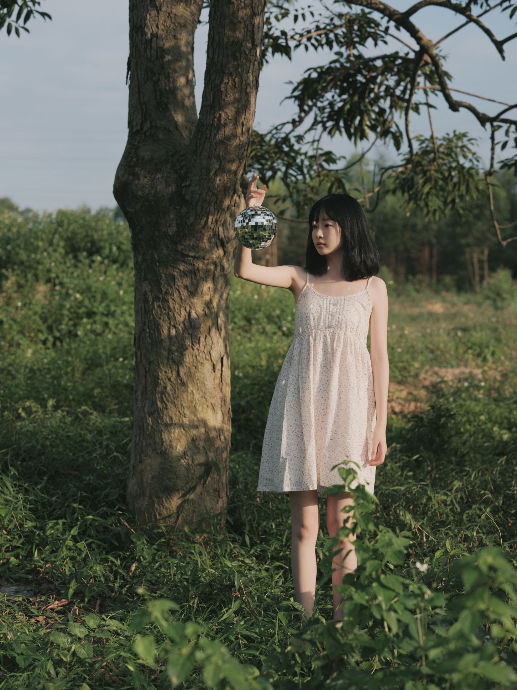 白野 – 《捉迷藏》[42P]