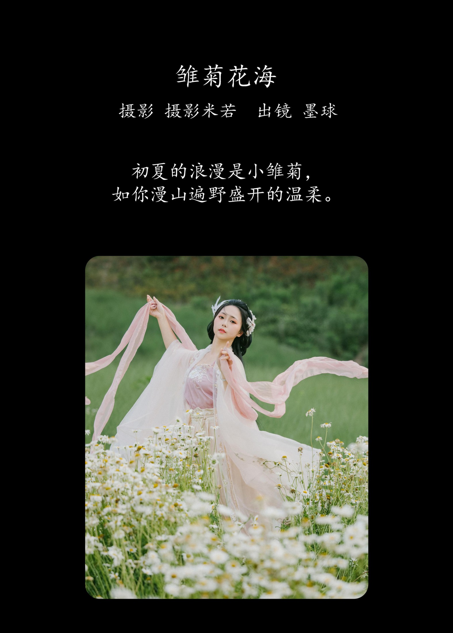阡墨红尘 – 《雏菊花海》[23P] 插图2