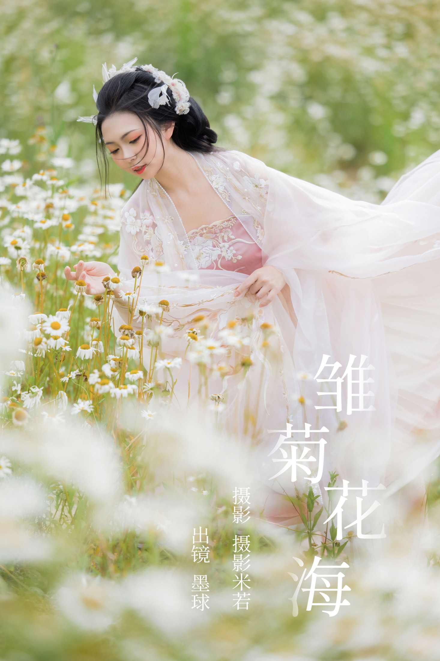 阡墨红尘 – 《雏菊花海》[23P]