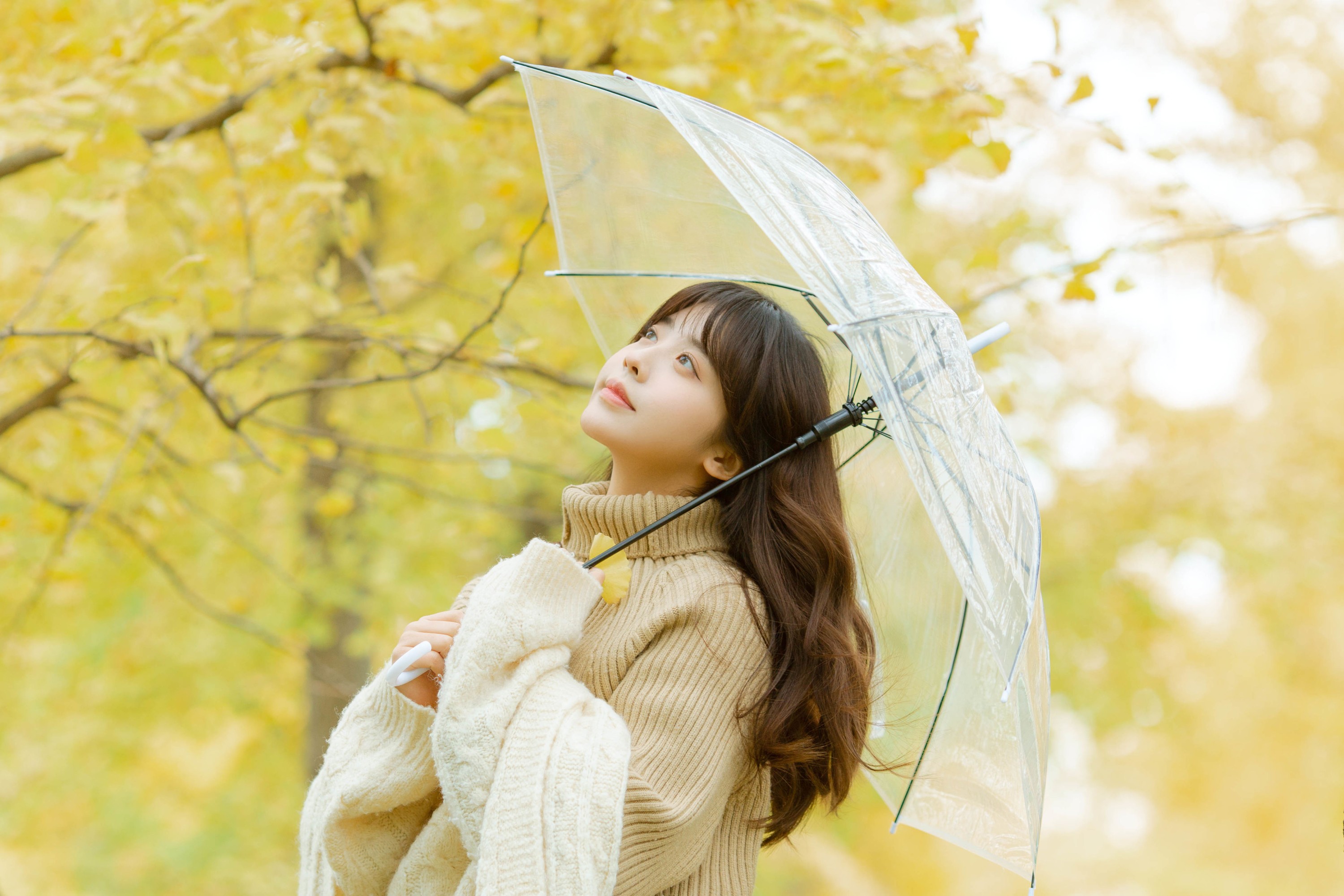 Z_Solla – 《深秋》[24P]