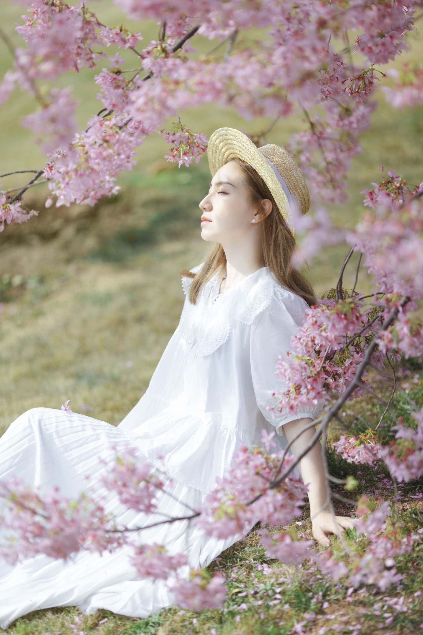 七七四十九 – 《春日樱》[20P]