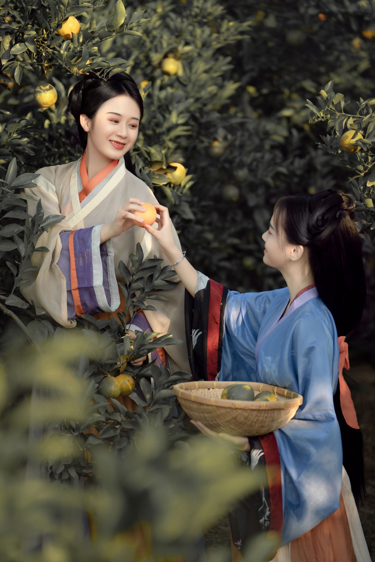 薯片yoyi – 《采橘》[22P]