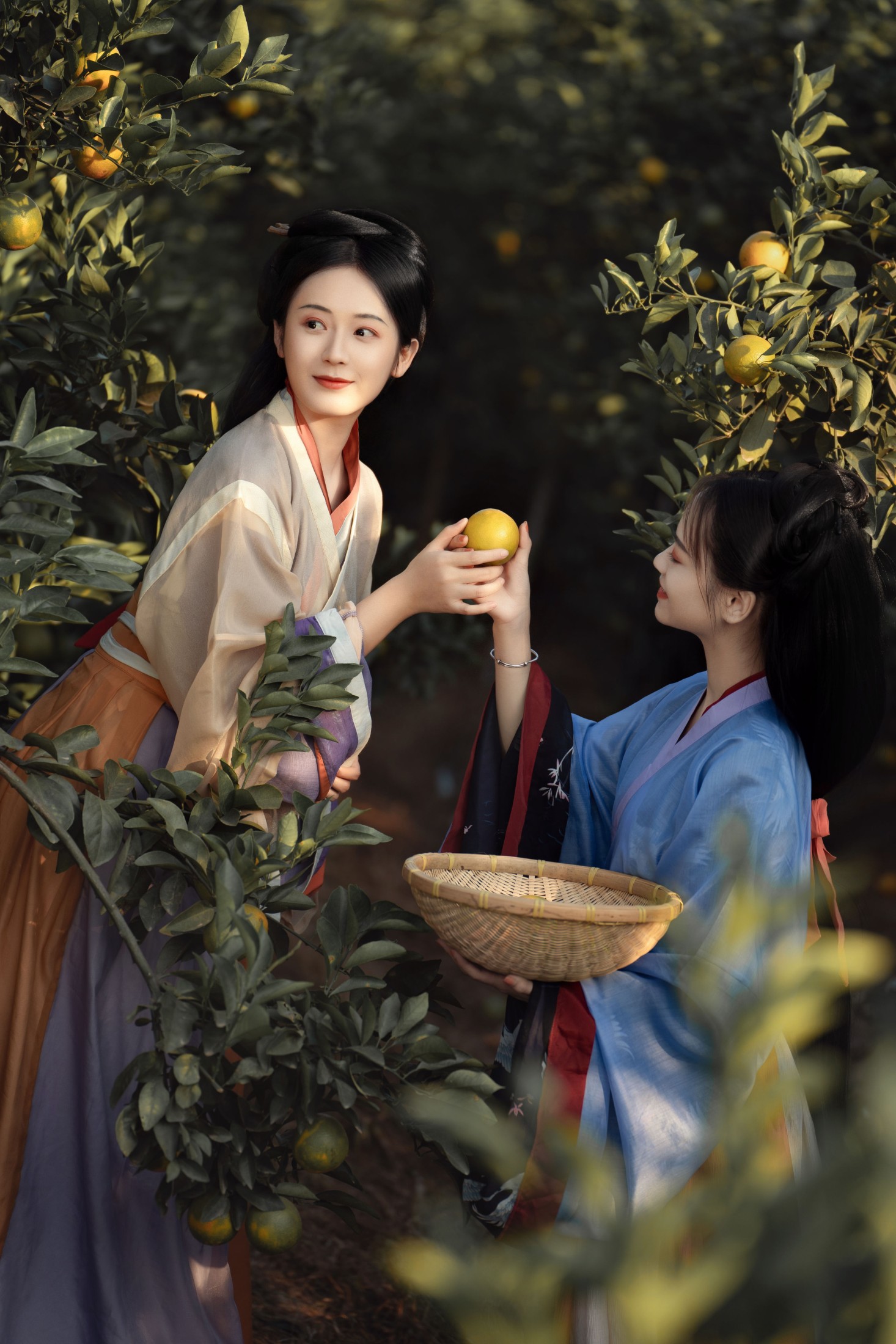 薯片yoyi – 《采橘》[22P]