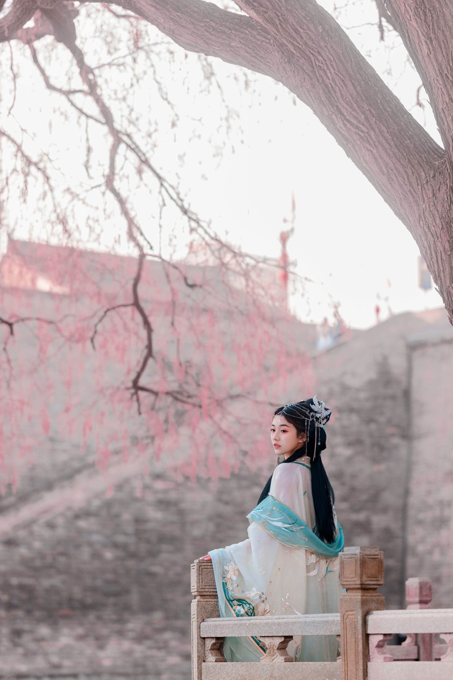 裴同学 – 《青鸾》[24P]