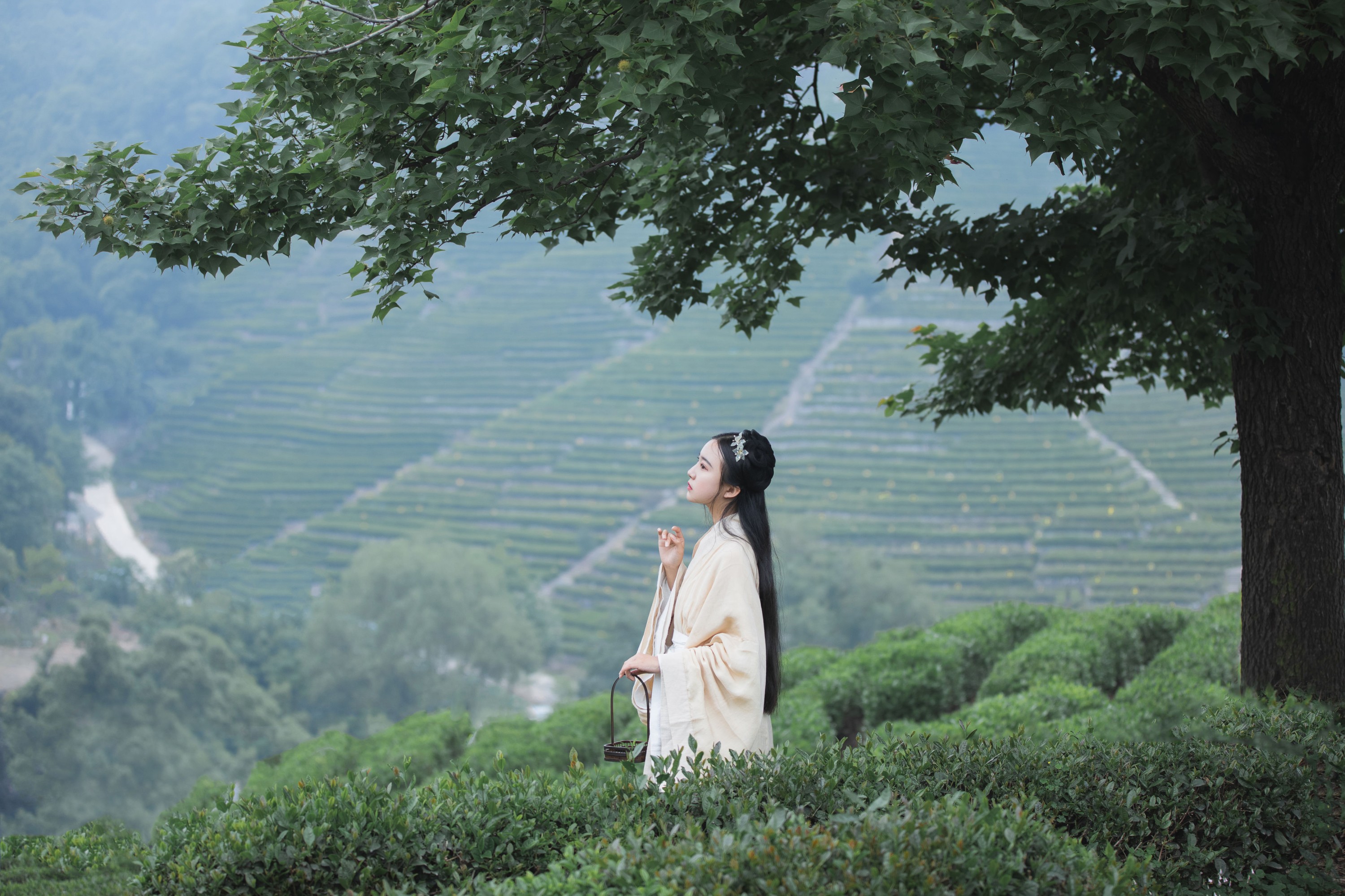 知岫 – 《山中书事》[30P]