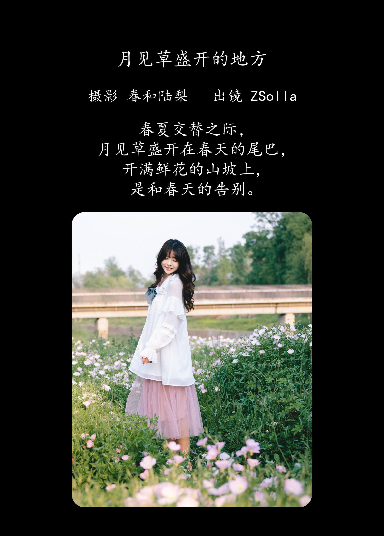 Z_Solla – 《月见草盛开的地方》[20P]