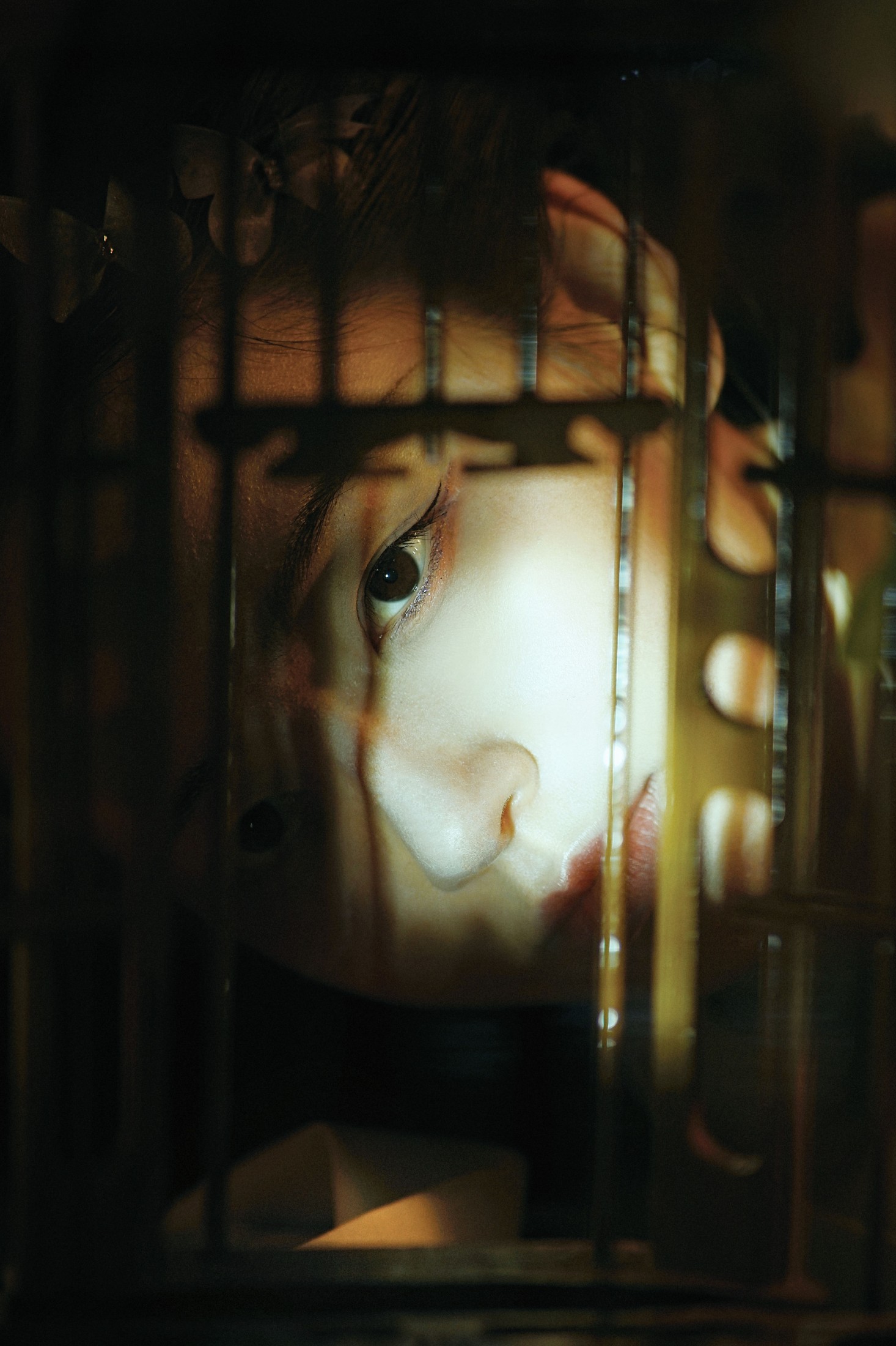 鹿半仙儿_ – 《美人心计》[22P]