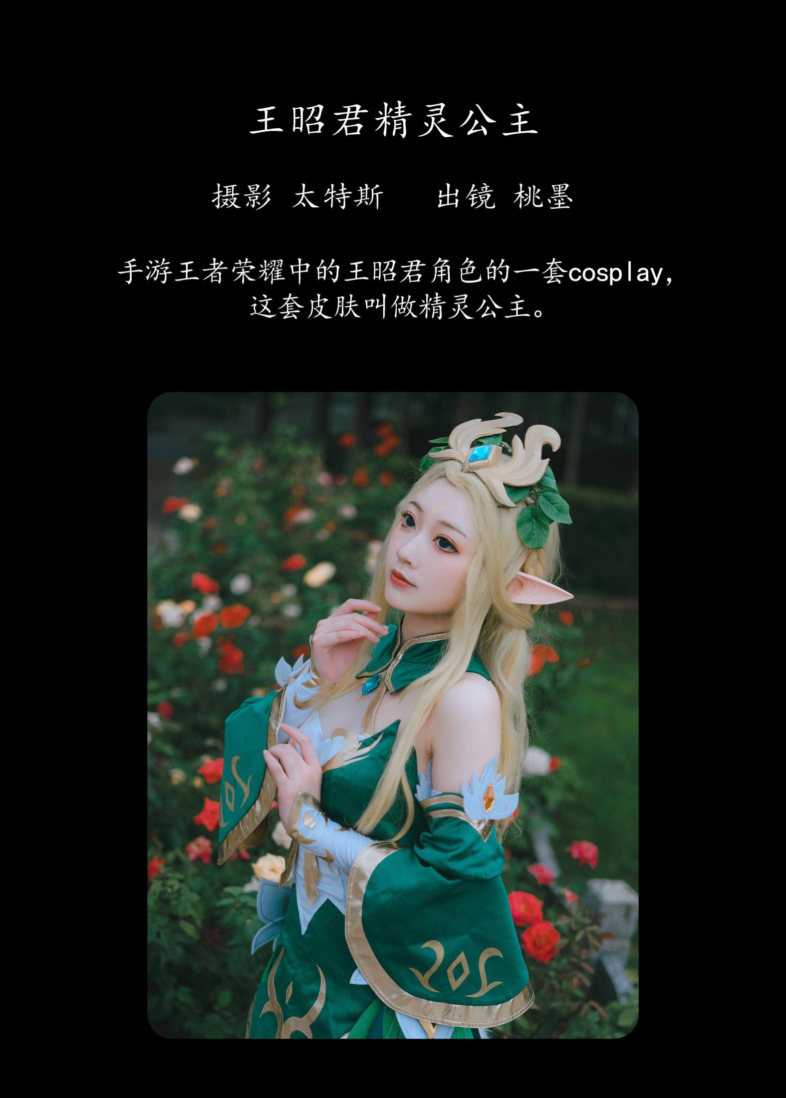 桃墨公子x – 《王昭君精灵公主》[22P]