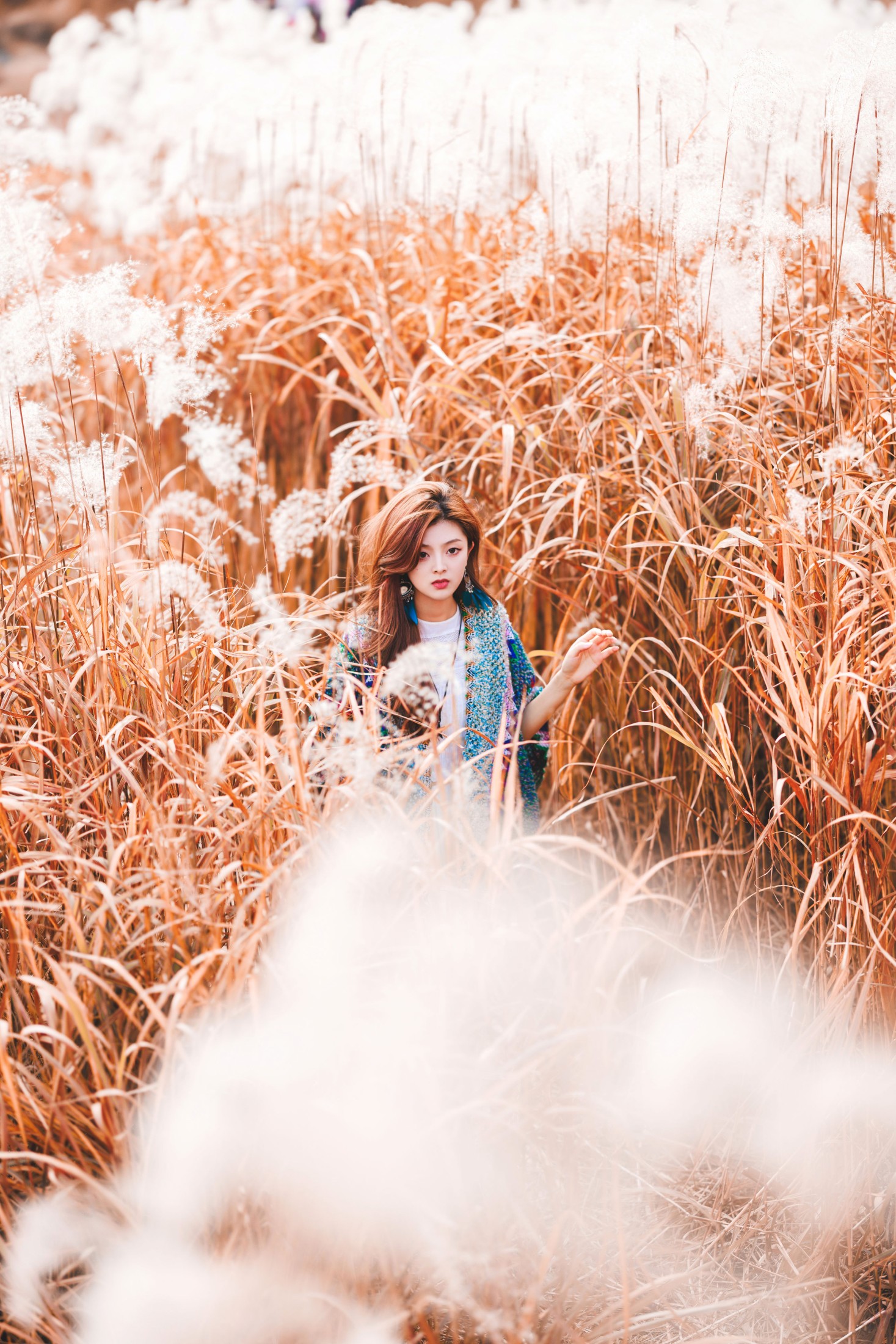 张张包 – 《芦苇》[22P]