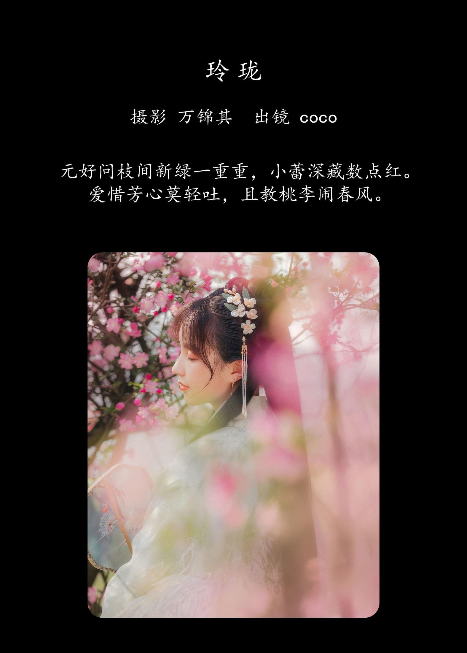 coco – 《玲珑》[21P]