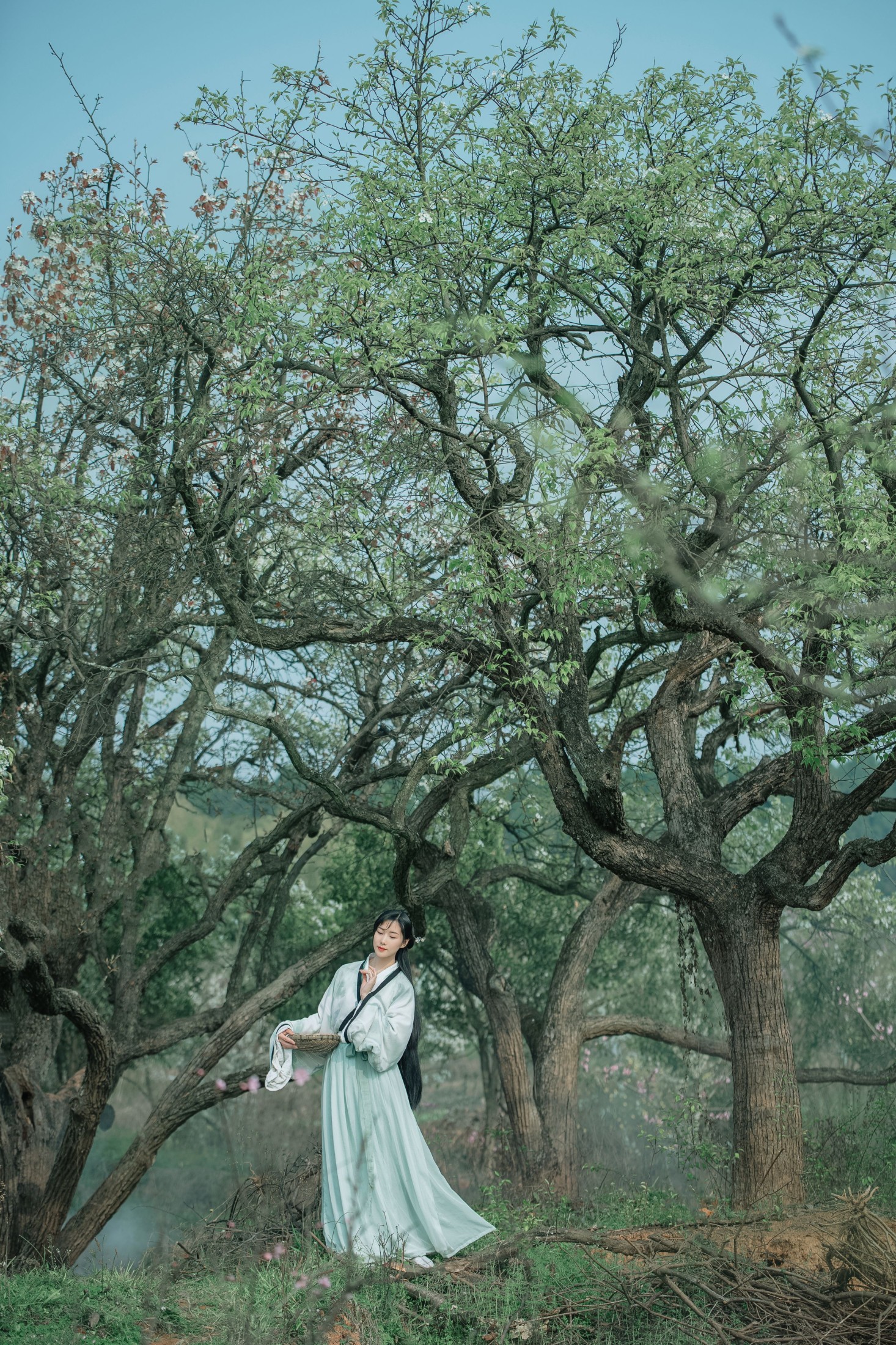 木哥 – 《梨香》[24P]